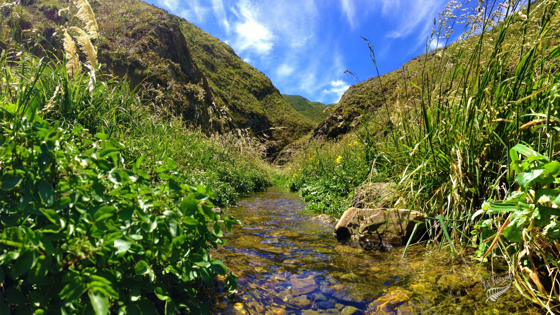 New Zealand's stunning scenery, Windows 8 theme wallpapers #8 - 1920x1080