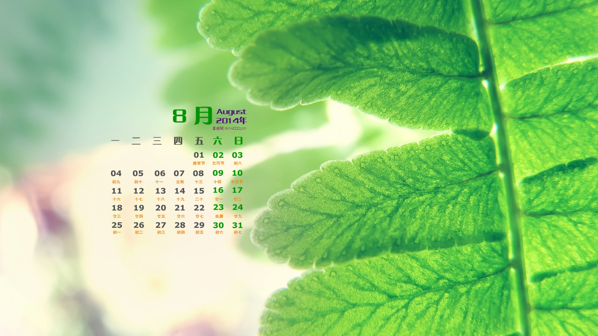 2014年8月 月曆壁紙(一) #14 - 1920x1080