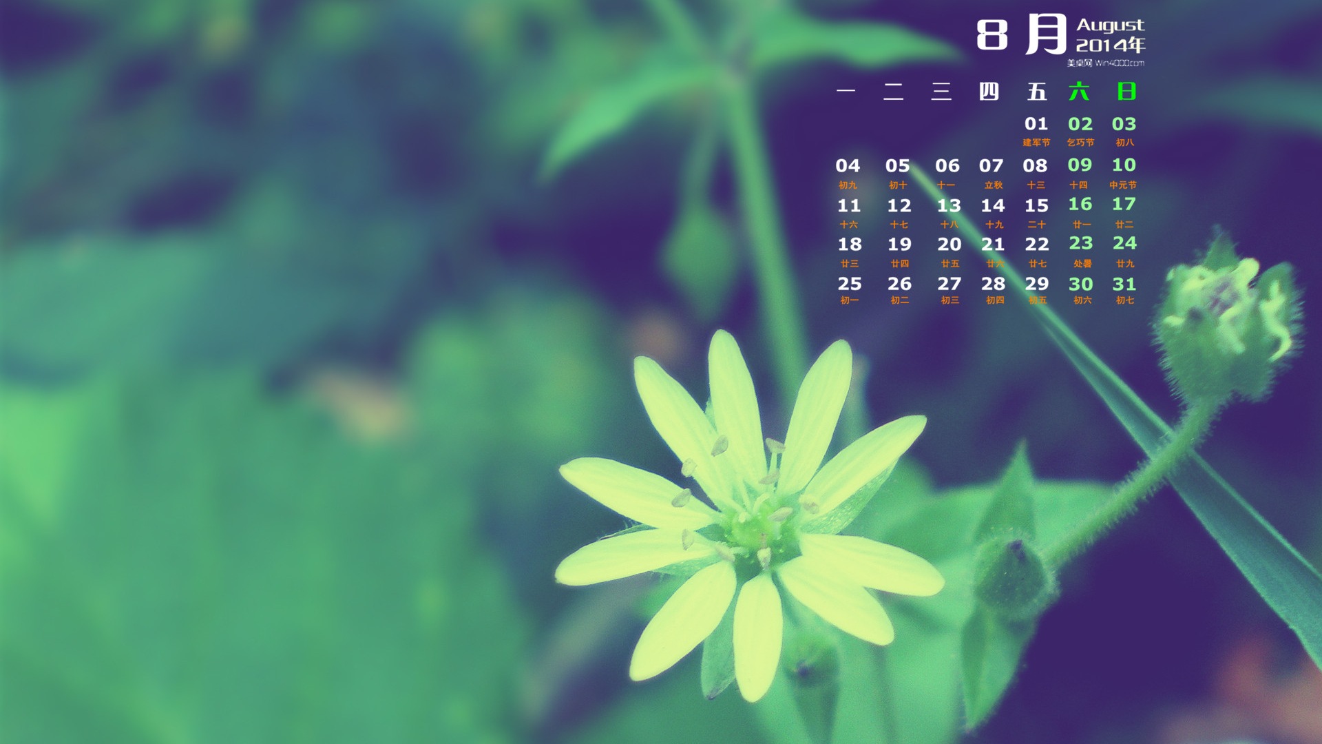2014年8月 月曆壁紙(一) #15 - 1920x1080