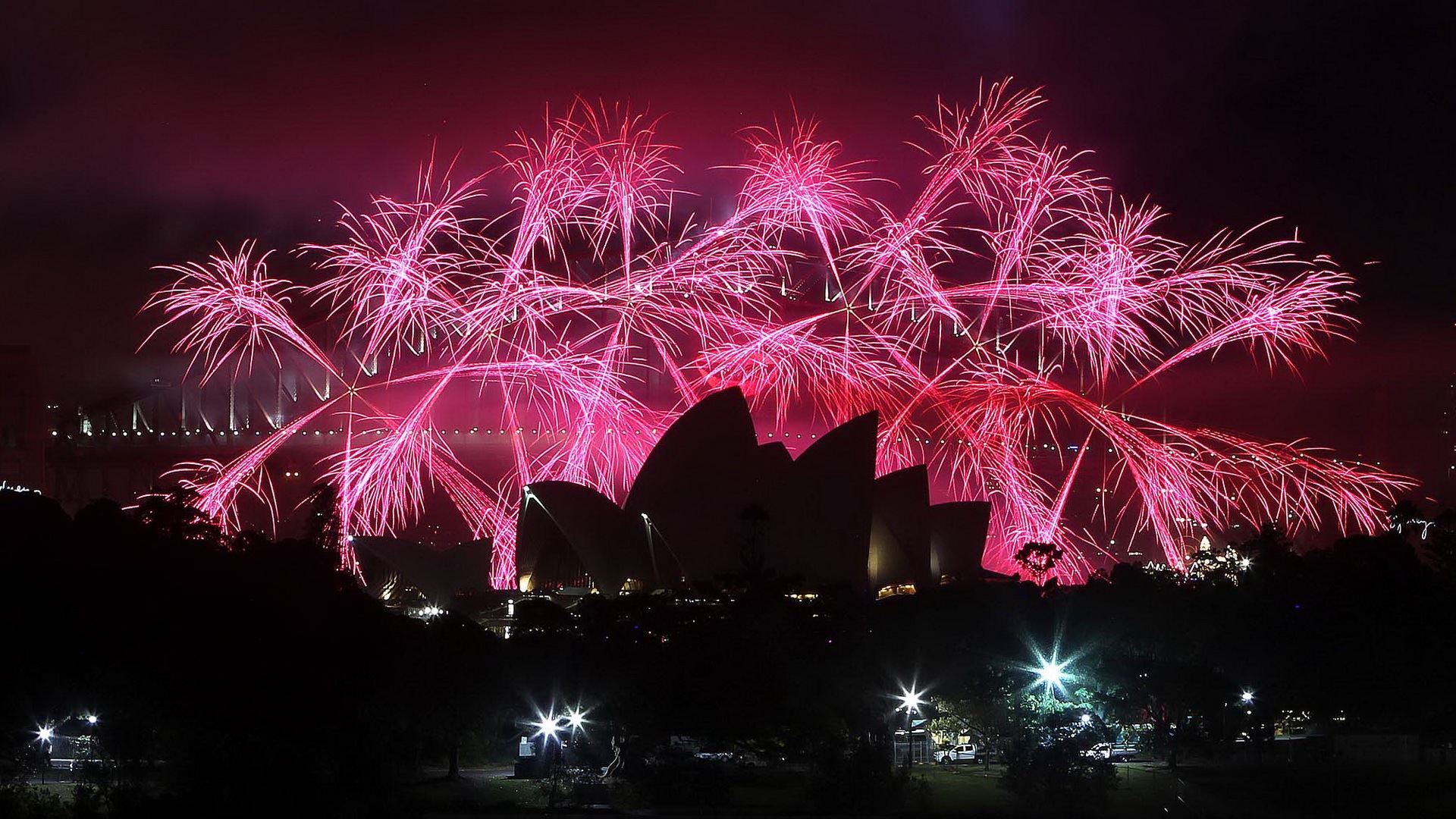 La belleza del cielo nocturno, fuegos artificiales hermosos fondos de pantalla #8 - 1920x1080