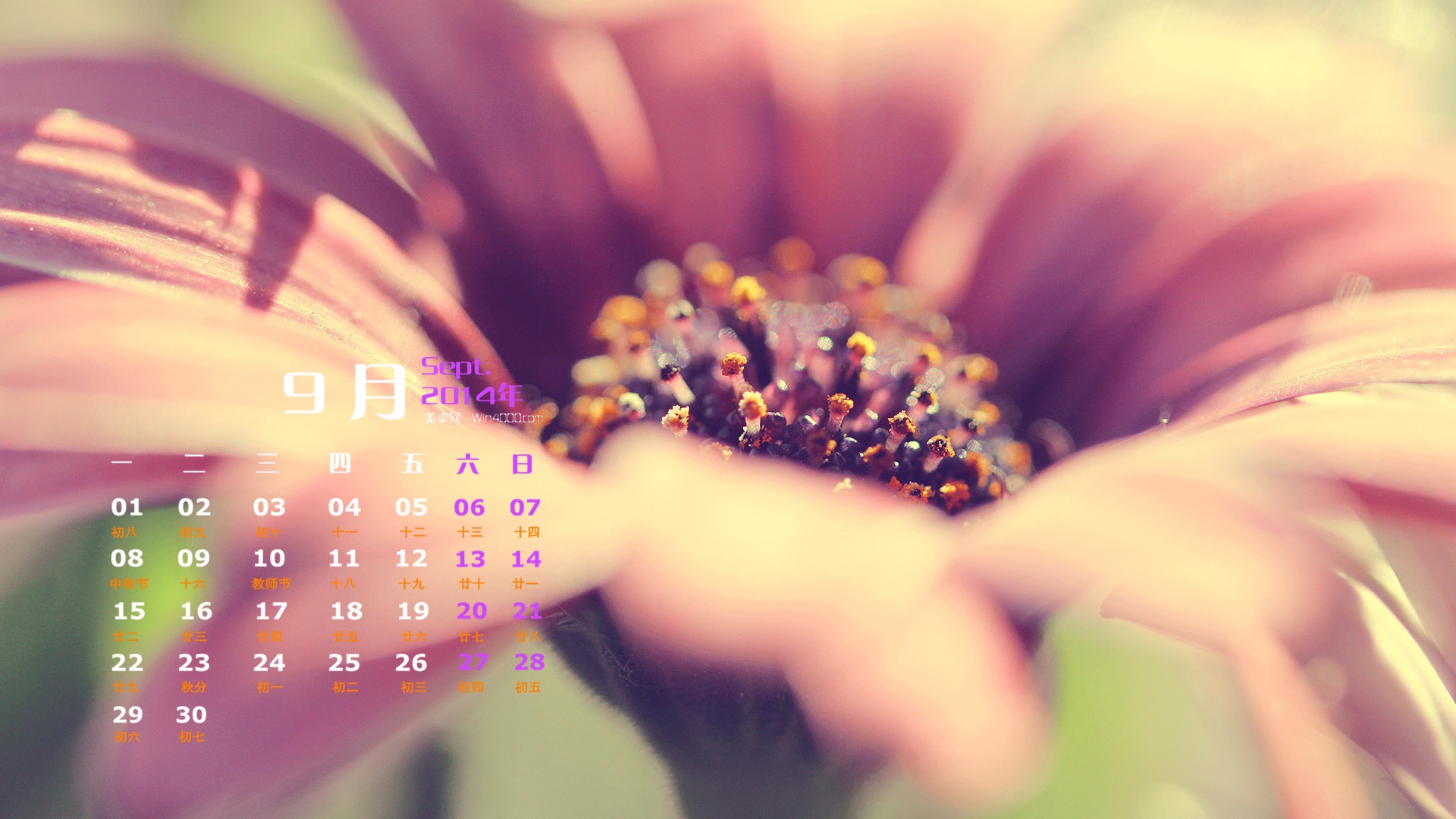 2014年9月 月曆壁紙(一) #16 - 1920x1080