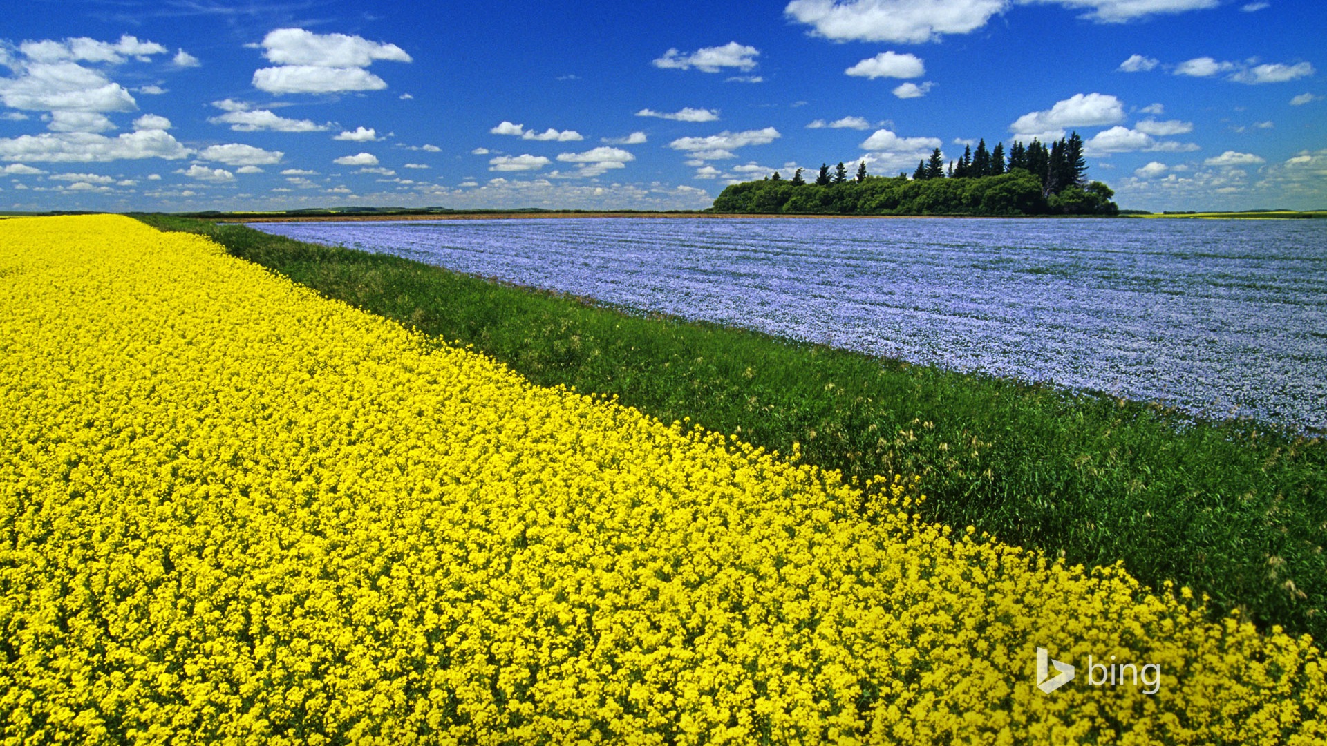 Octobre 2014 Bing fonds d'écran paysages HD #20 - 1920x1080