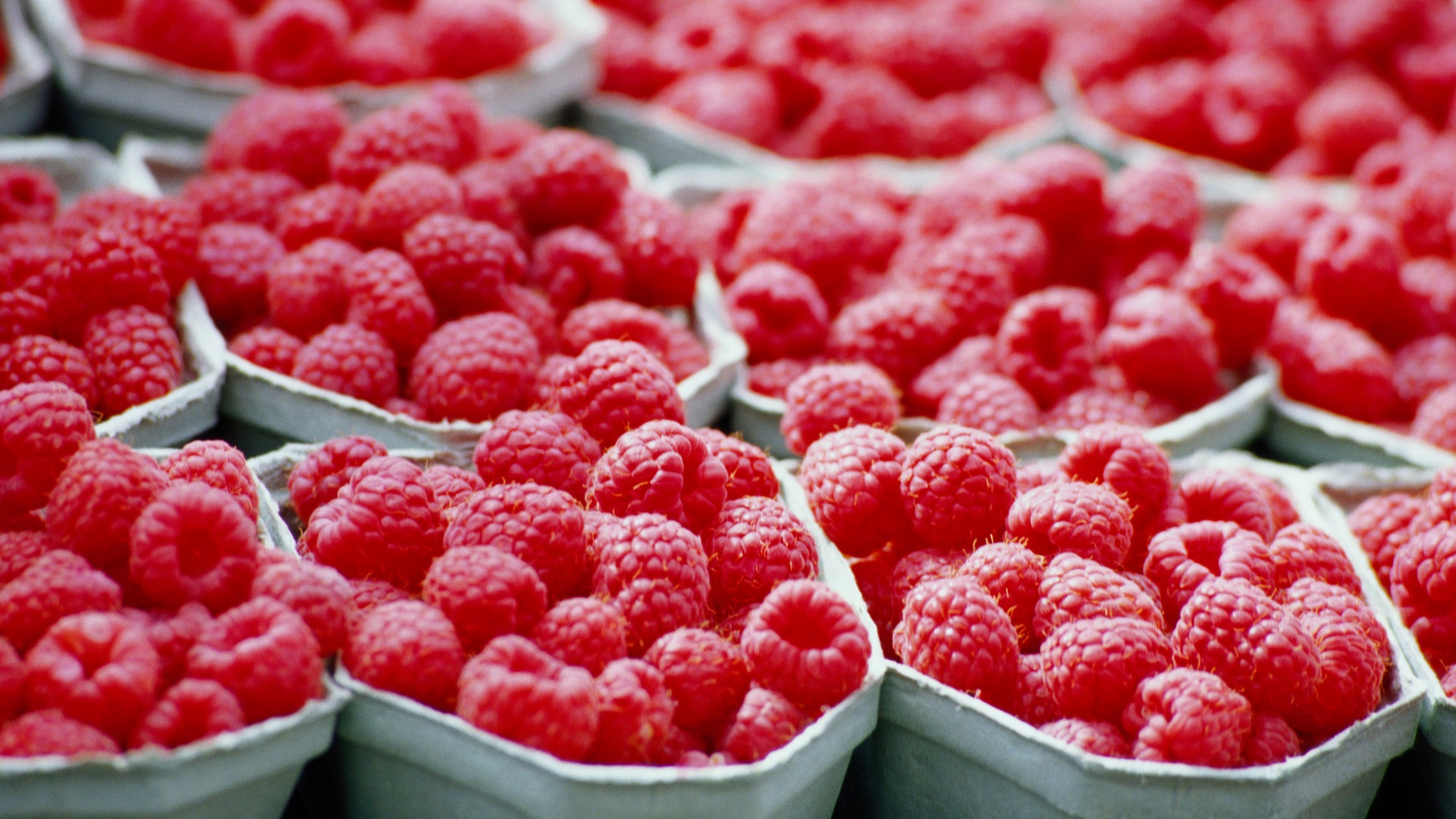 Fondos de pantalla de alta definición de frambuesa roja dulces #8 - 1920x1080