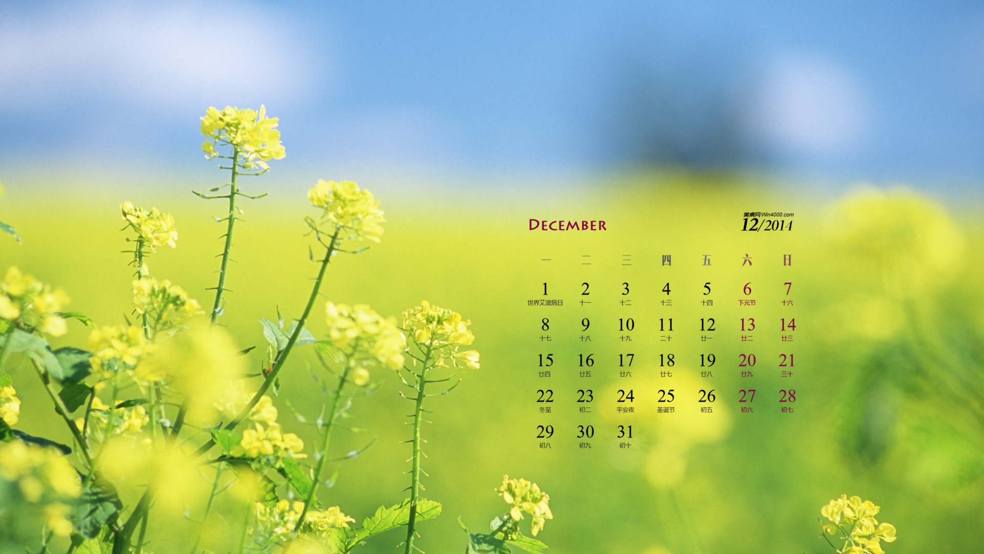 December 2014 Calendar wallpaper (1) #8 - 1920x1080