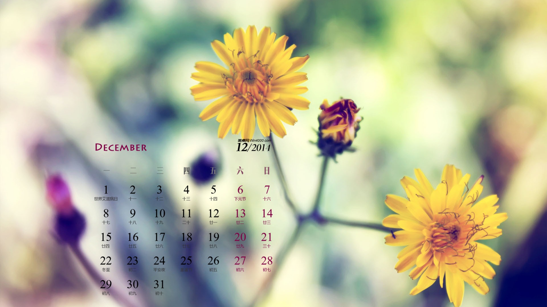 December 2014 Calendar wallpaper (1) #10 - 1920x1080