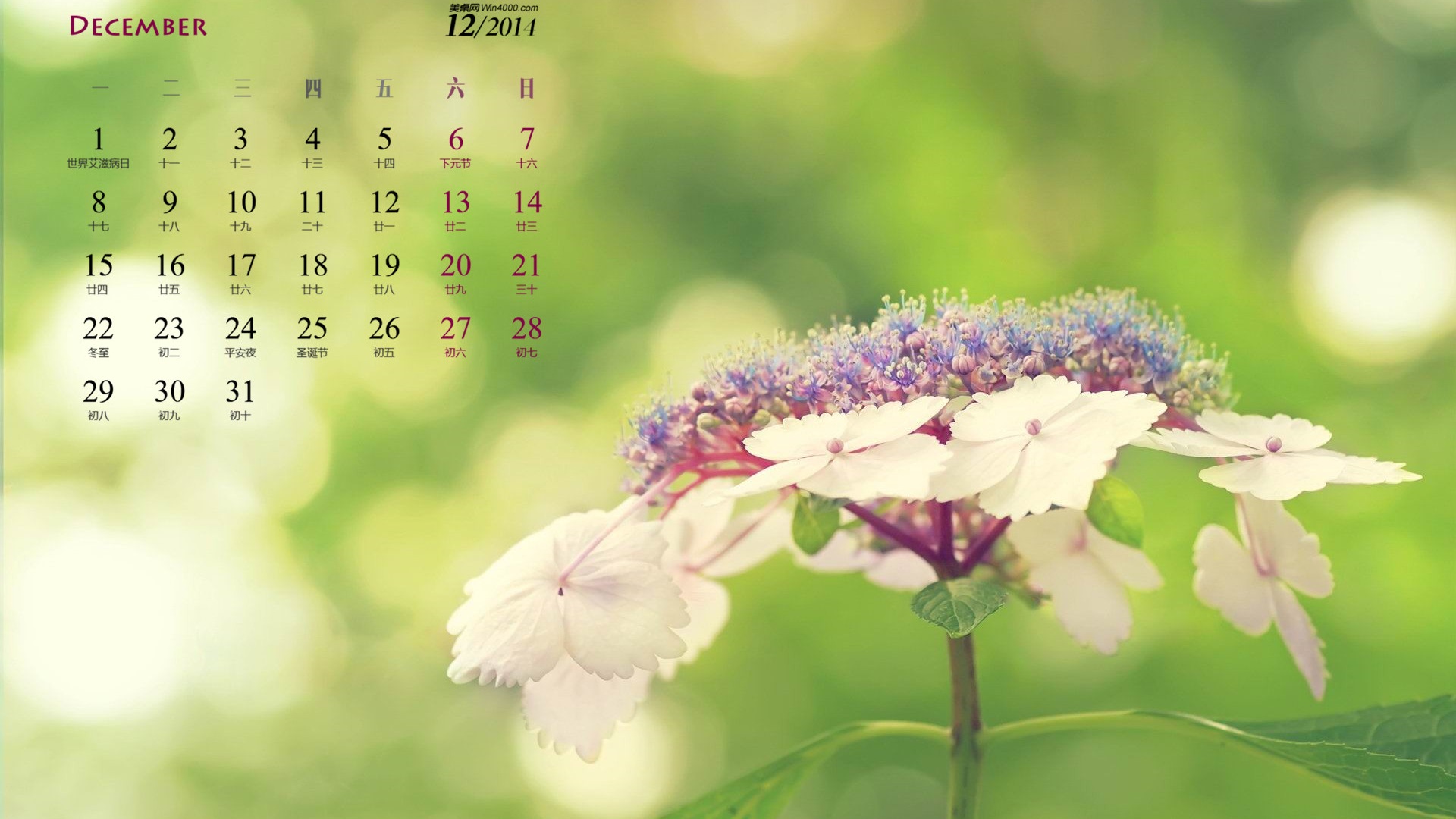 December 2014 Calendar wallpaper (1) #12 - 1920x1080