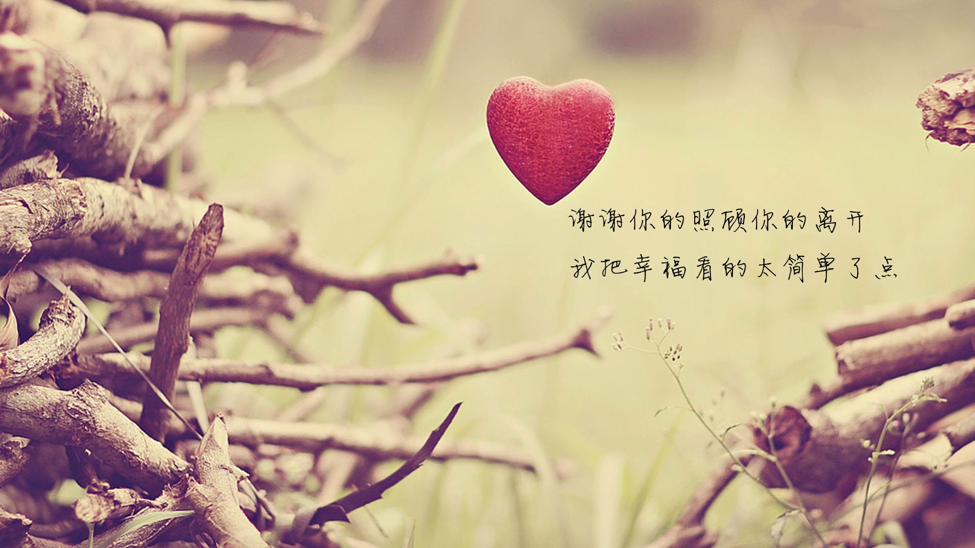 The theme of love, creative heart-shaped HD wallpapers #7 - 1920x1080