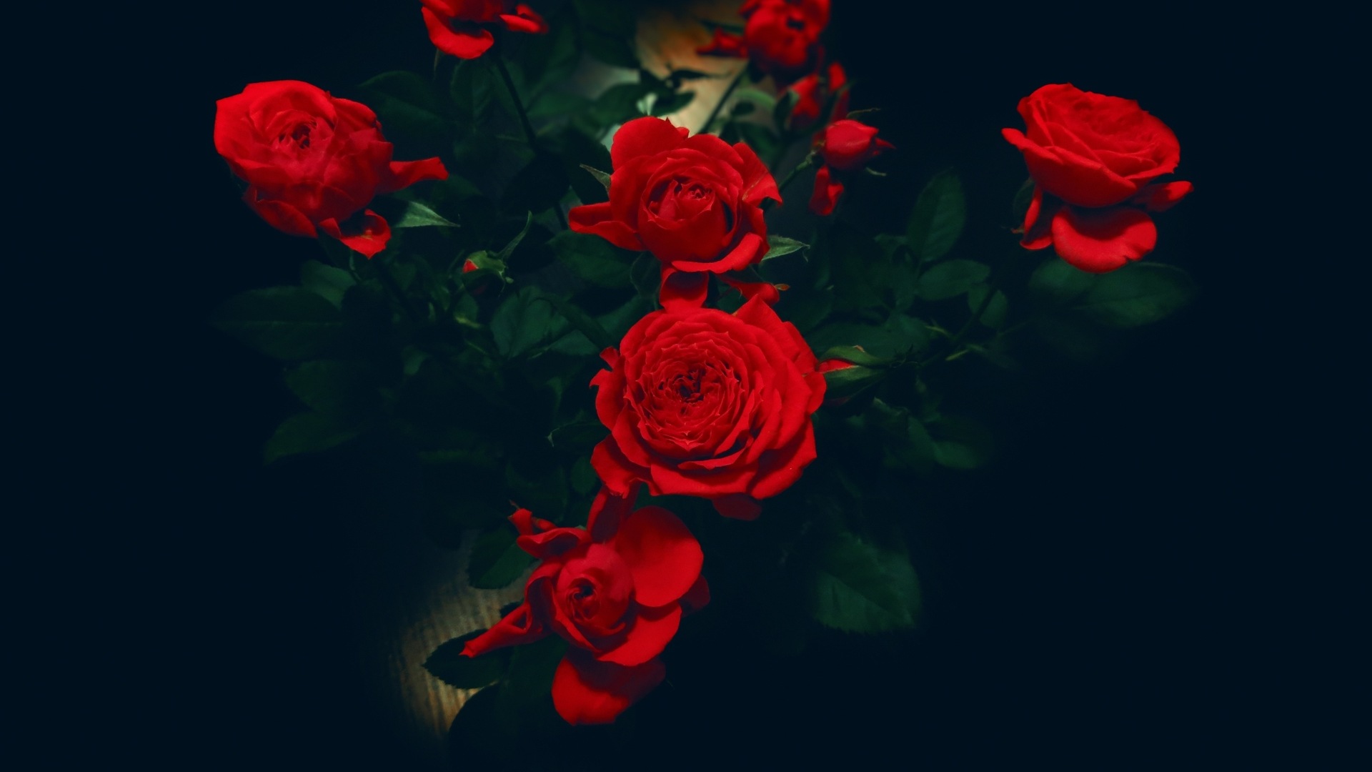 화려한 색상, 아름다운 꽃의 HD 배경 화면 #12 - 1920x1080
