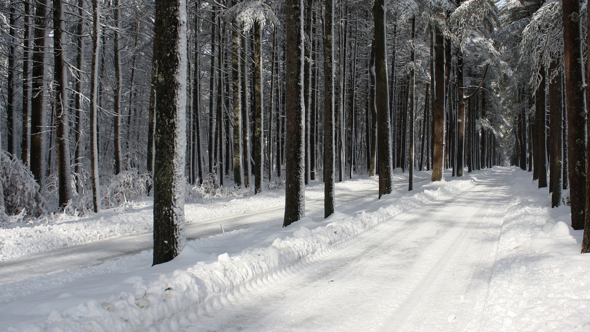 冬天的雪景，山，湖，树木，道路 高清壁纸3 - 1920x1080