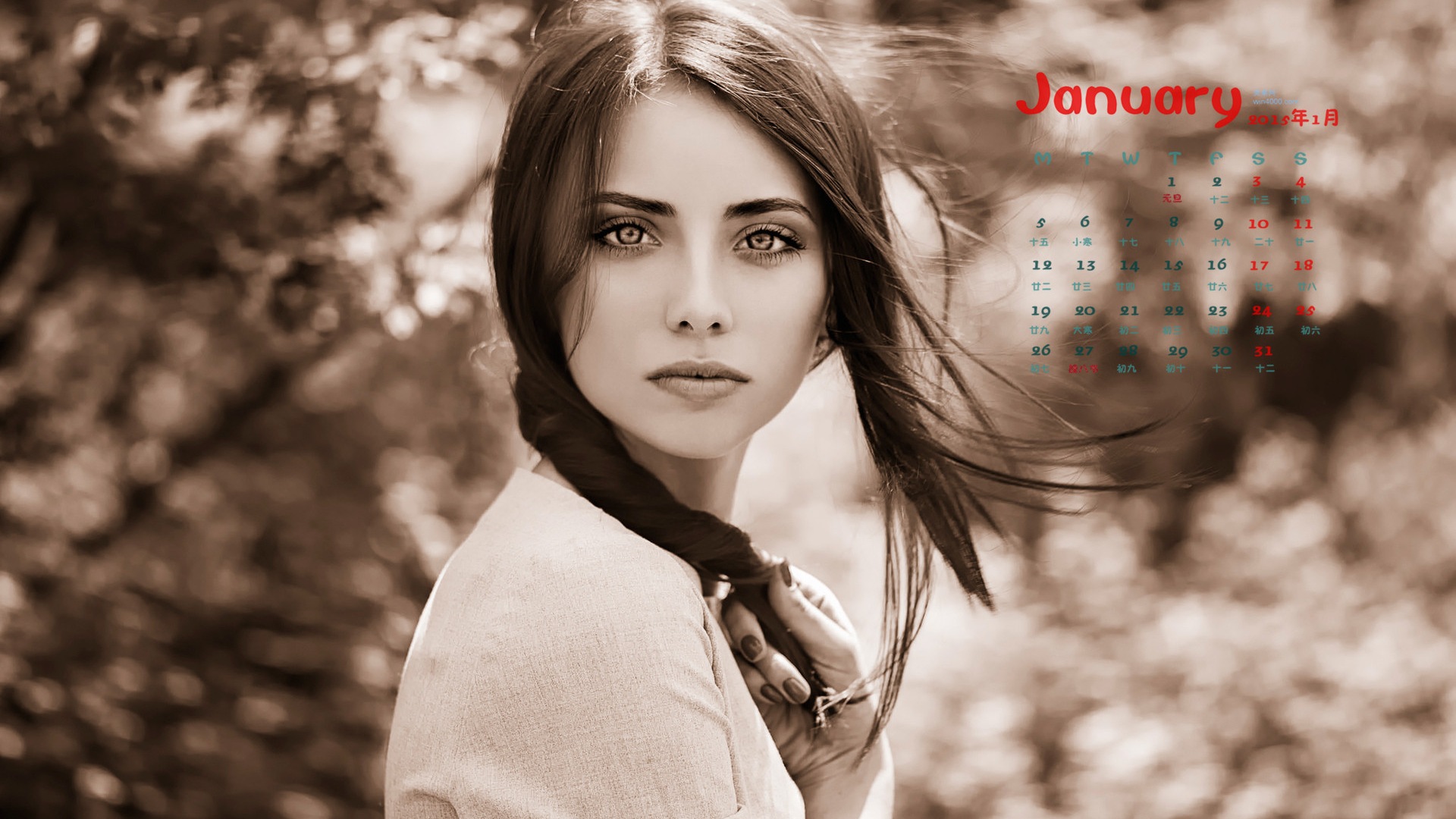 January 2015 calendar wallpaper (1) #4 - 1920x1080