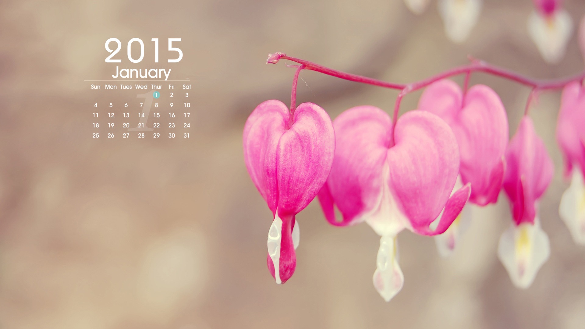 2015年1月 月历壁纸(一)9 - 1920x1080