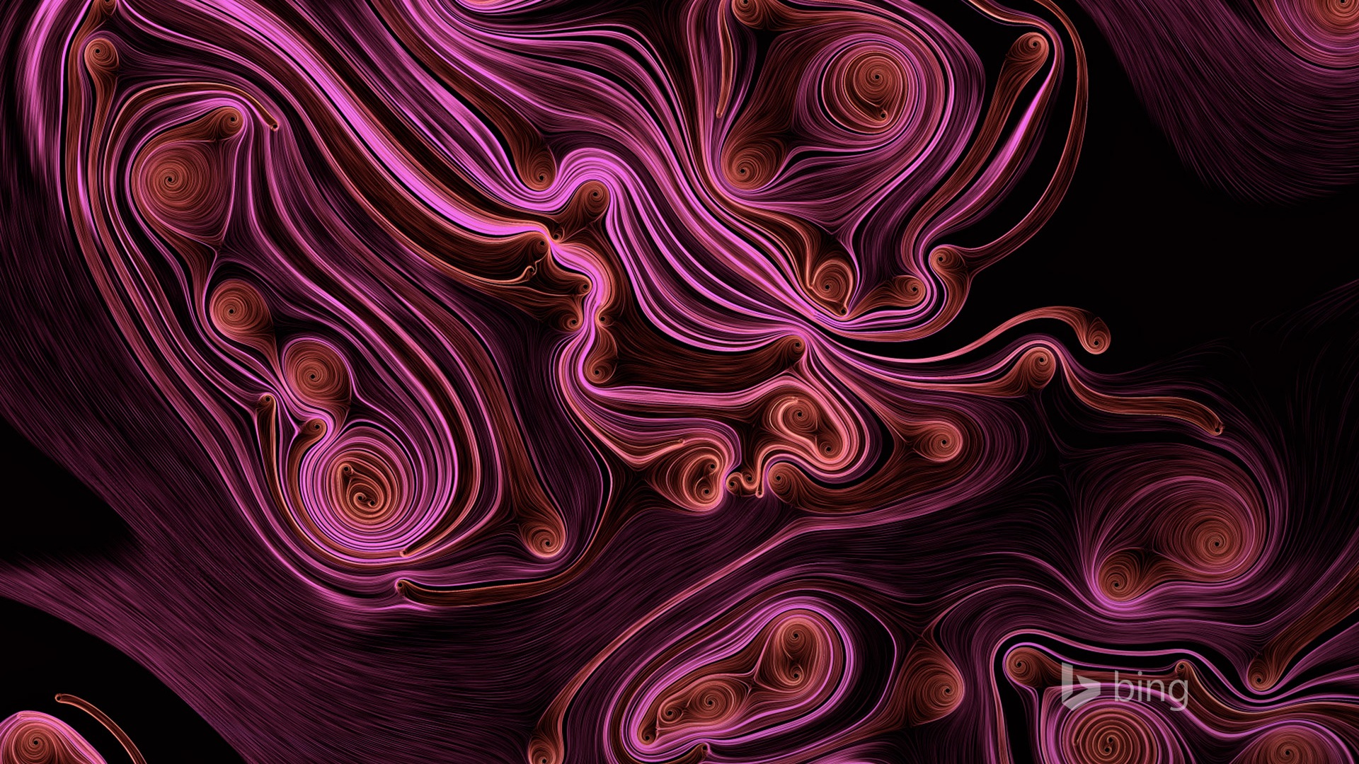 2014年12月 Bing必應高清壁紙 #9 - 1920x1080