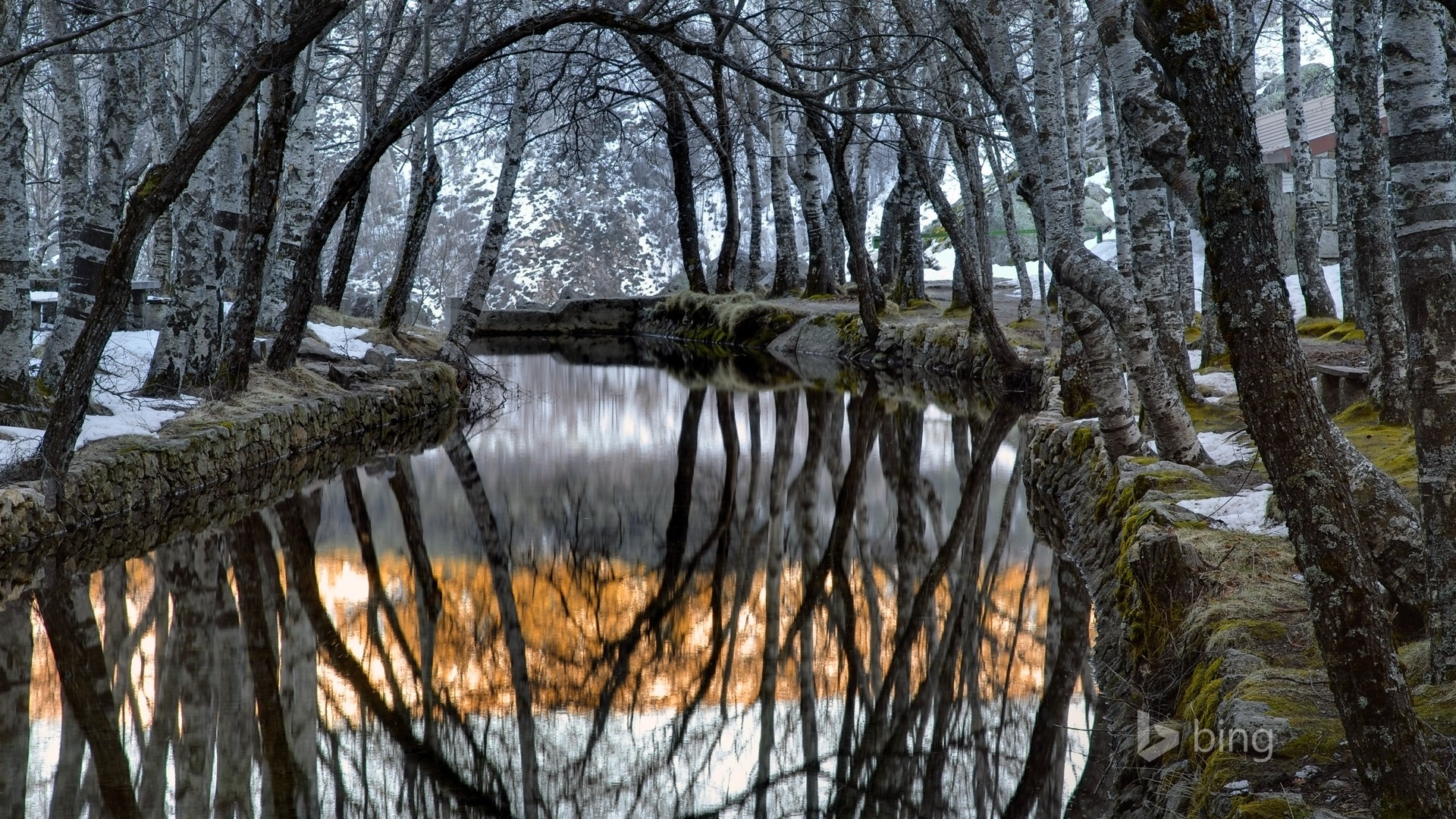 12 2014 fondos de pantalla HD Bing #11 - 1920x1080