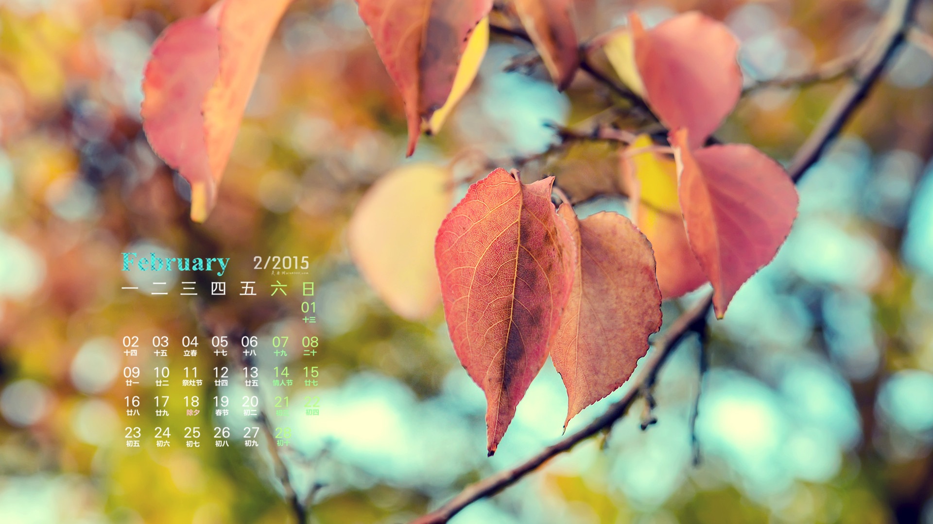 2015年2月 月曆壁紙(一) #10 - 1920x1080