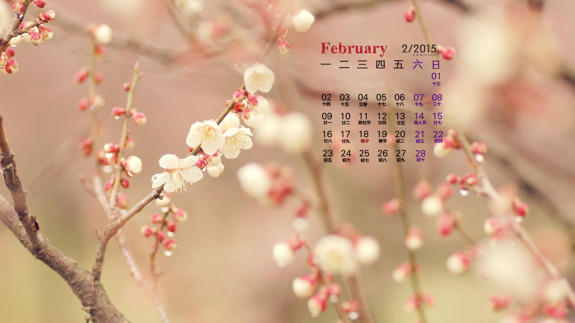 2015年2月 月曆壁紙(一) #12 - 1920x1080