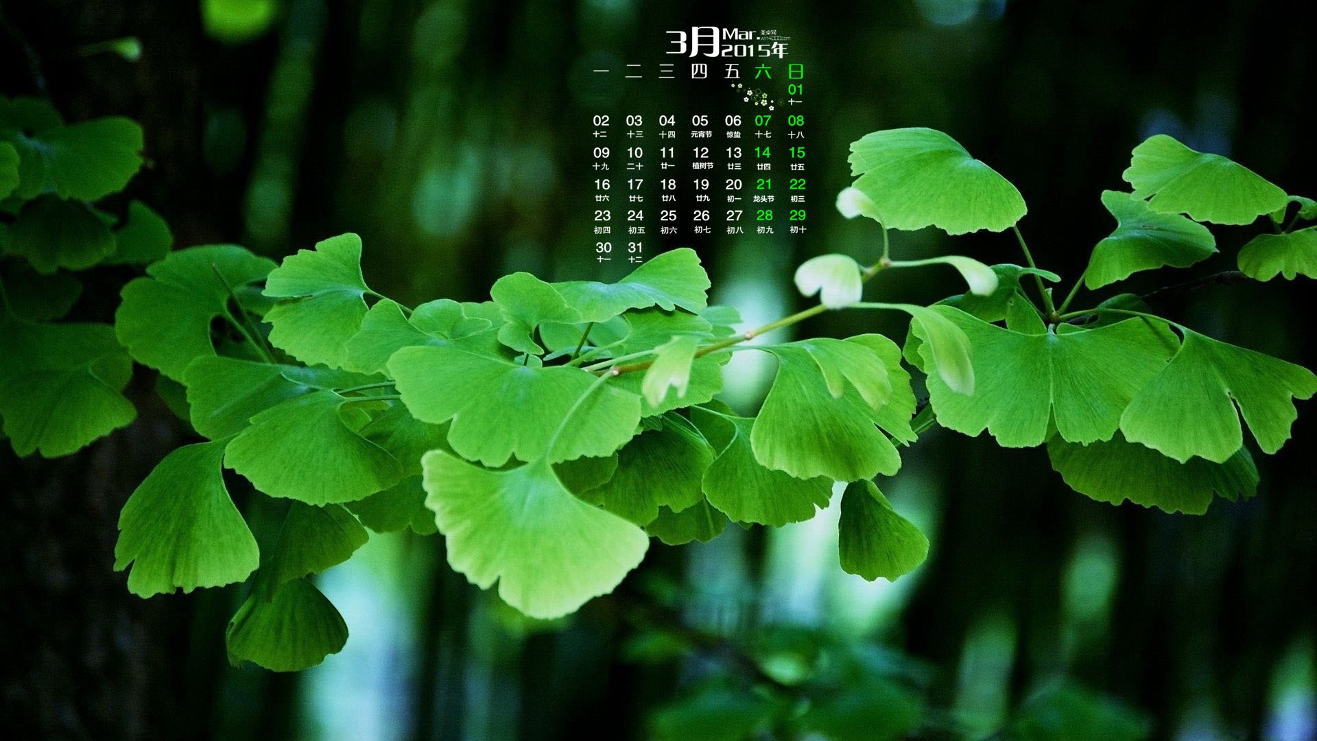 2015年3月 月曆壁紙(一) #2 - 1920x1080
