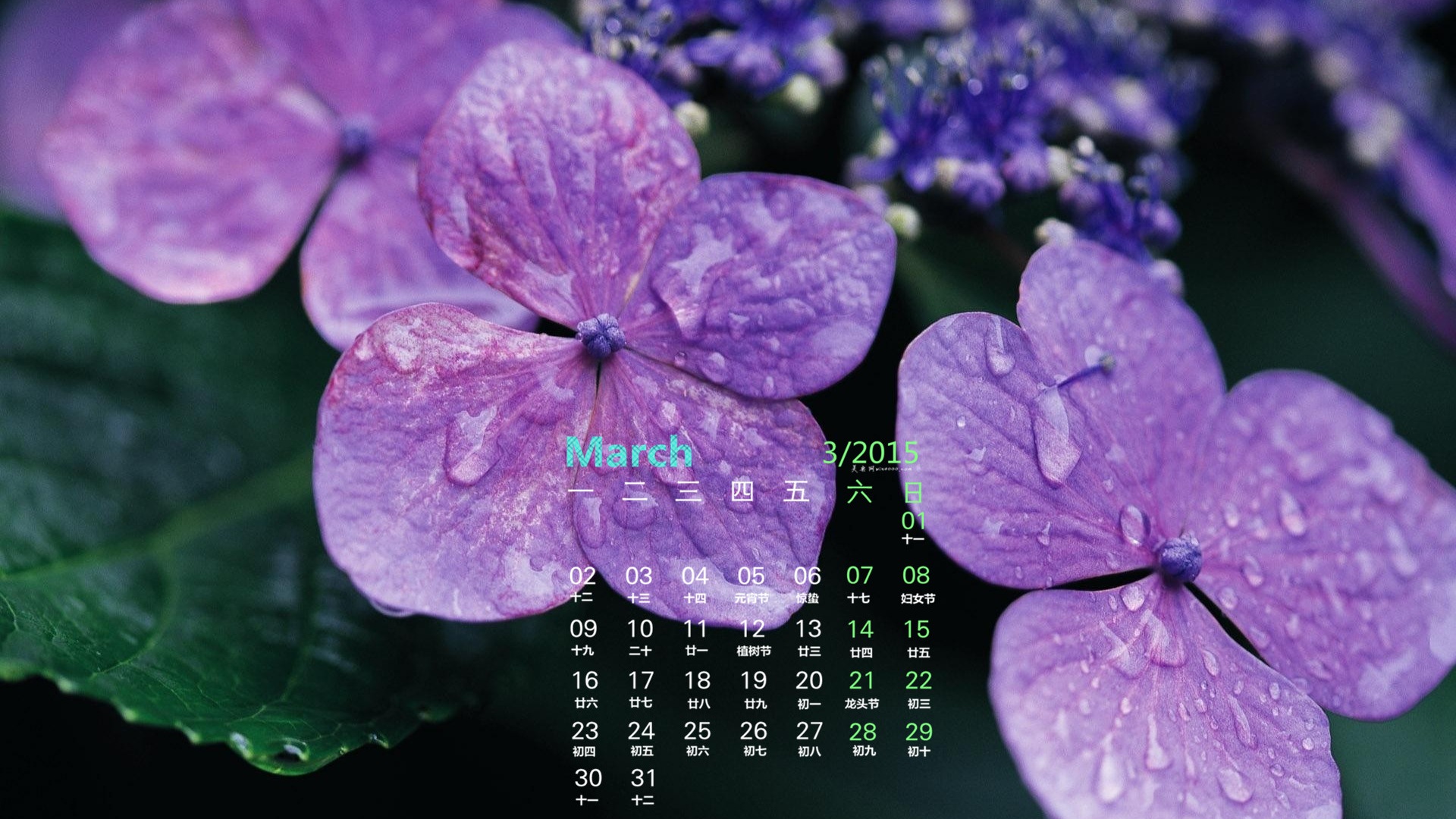 2015年3月 月曆壁紙(一) #5 - 1920x1080