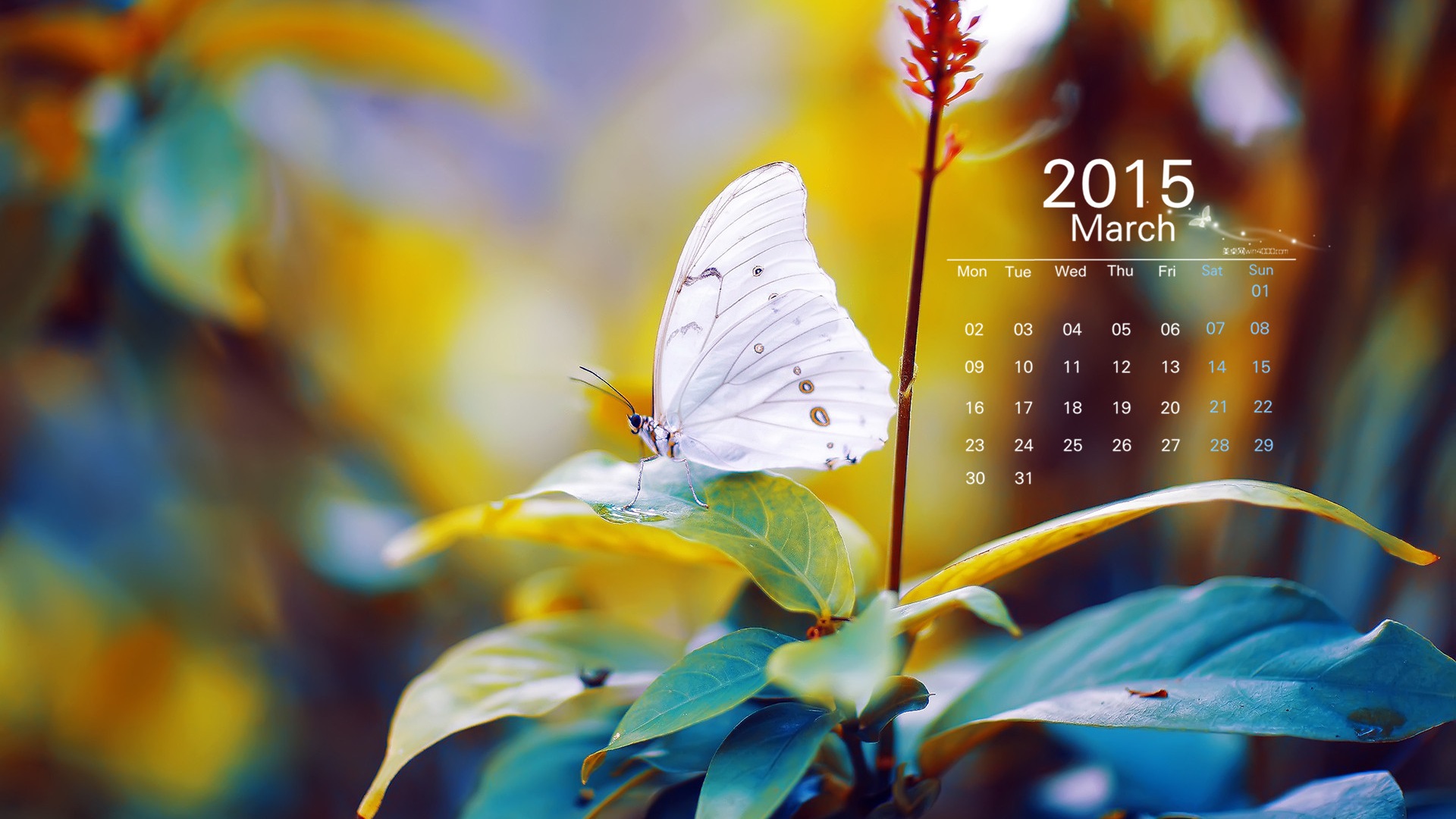 2015年3月 月曆壁紙(一) #8 - 1920x1080