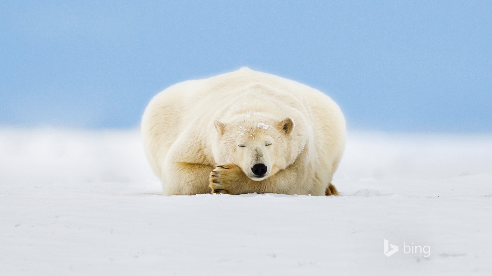 02 2015 fondos de pantalla HD Bing #9 - 1920x1080