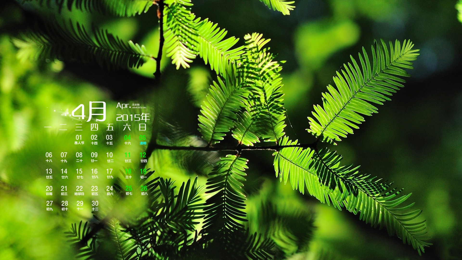 2015年4月 月历壁纸(二)18 - 1920x1080