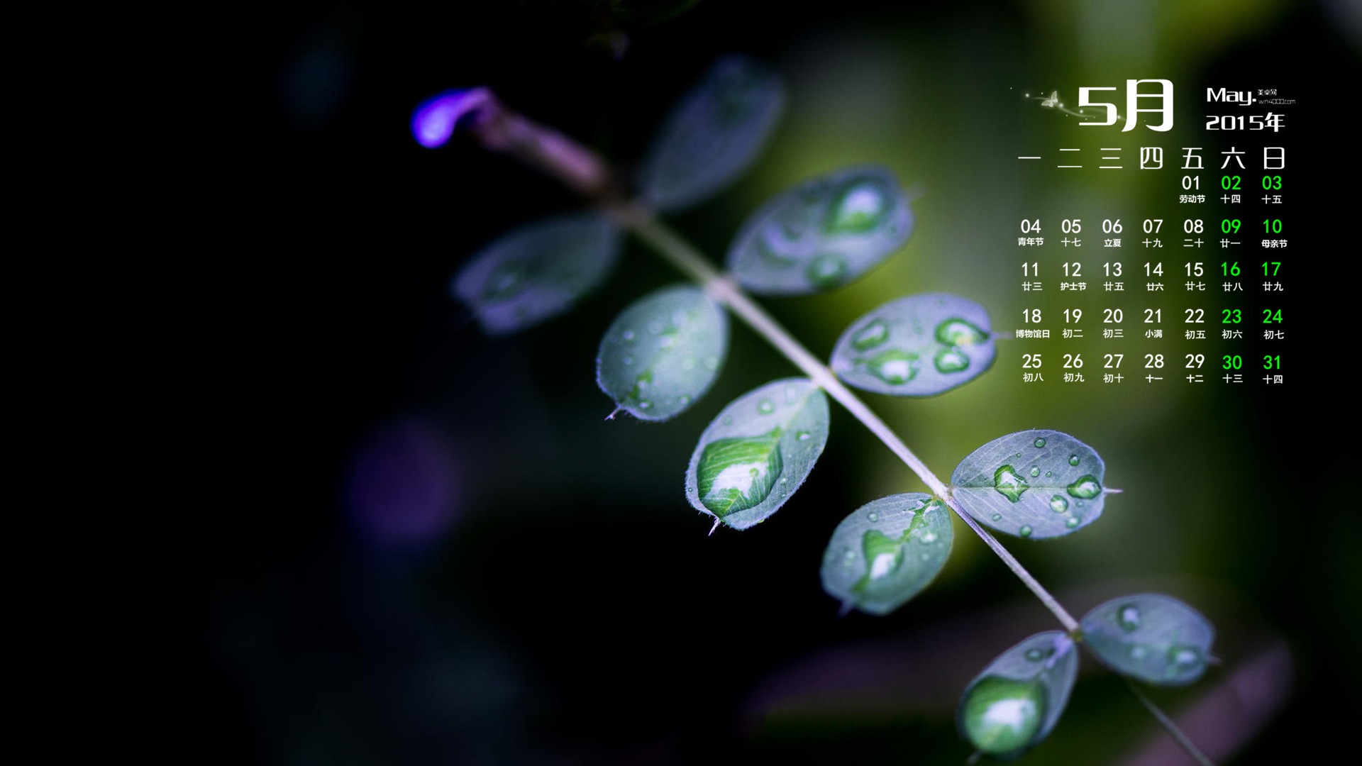 2015년 5월 캘린더 벽지 (1) #7 - 1920x1080