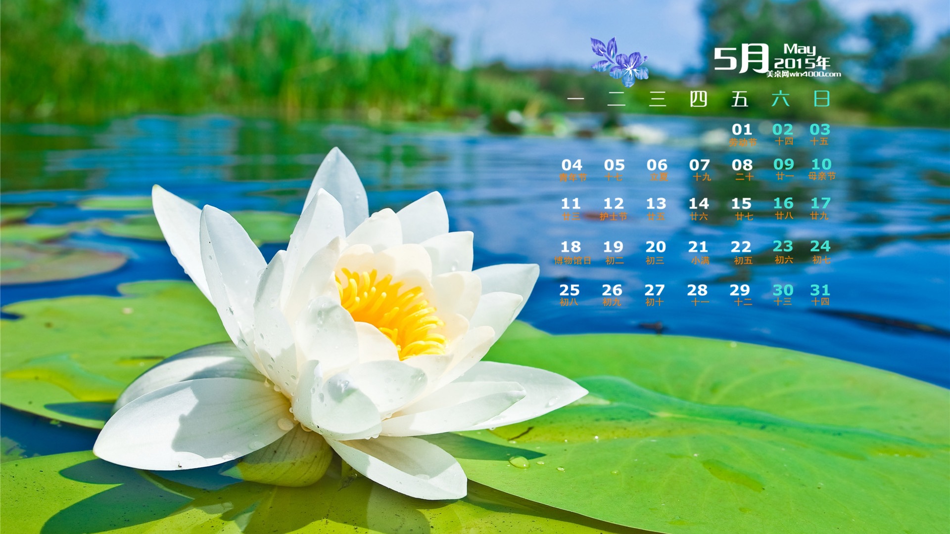 2015年5月 月曆壁紙(二) #4 - 1920x1080