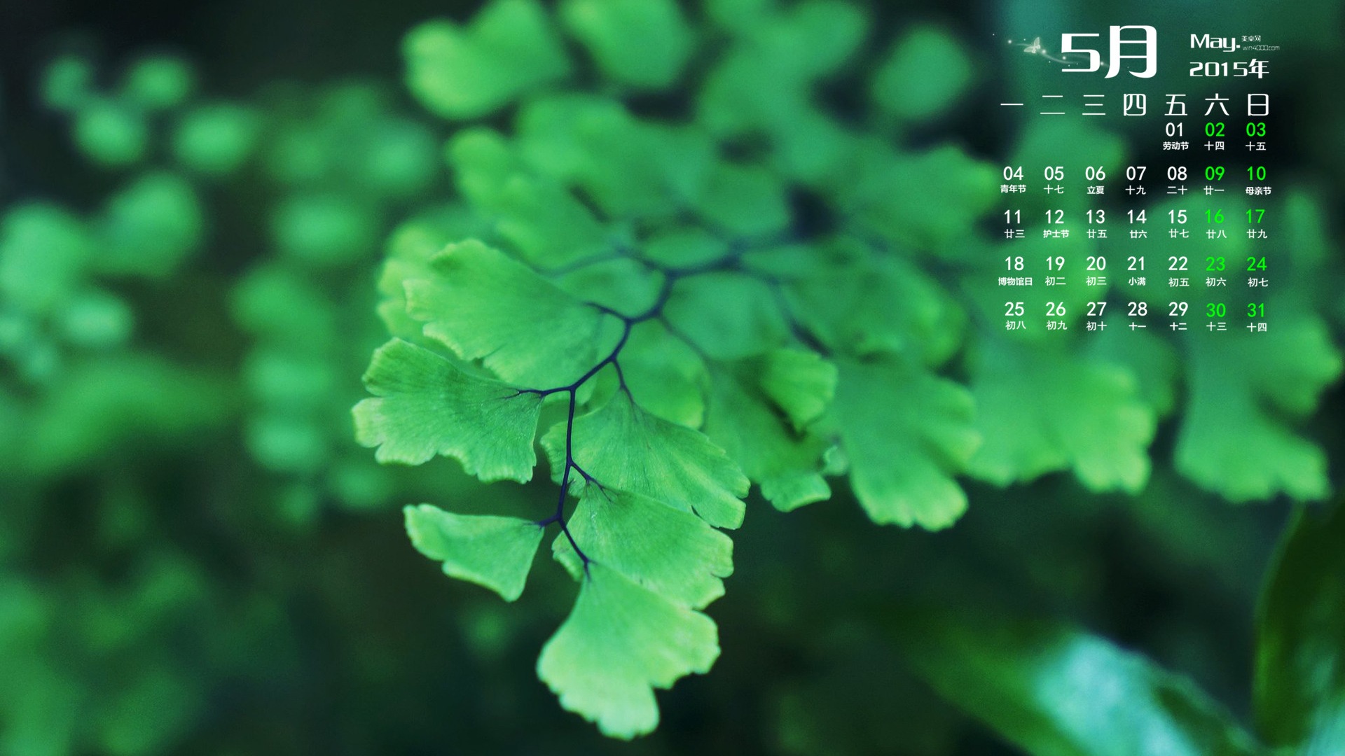2015年5月 月曆壁紙(二) #5 - 1920x1080