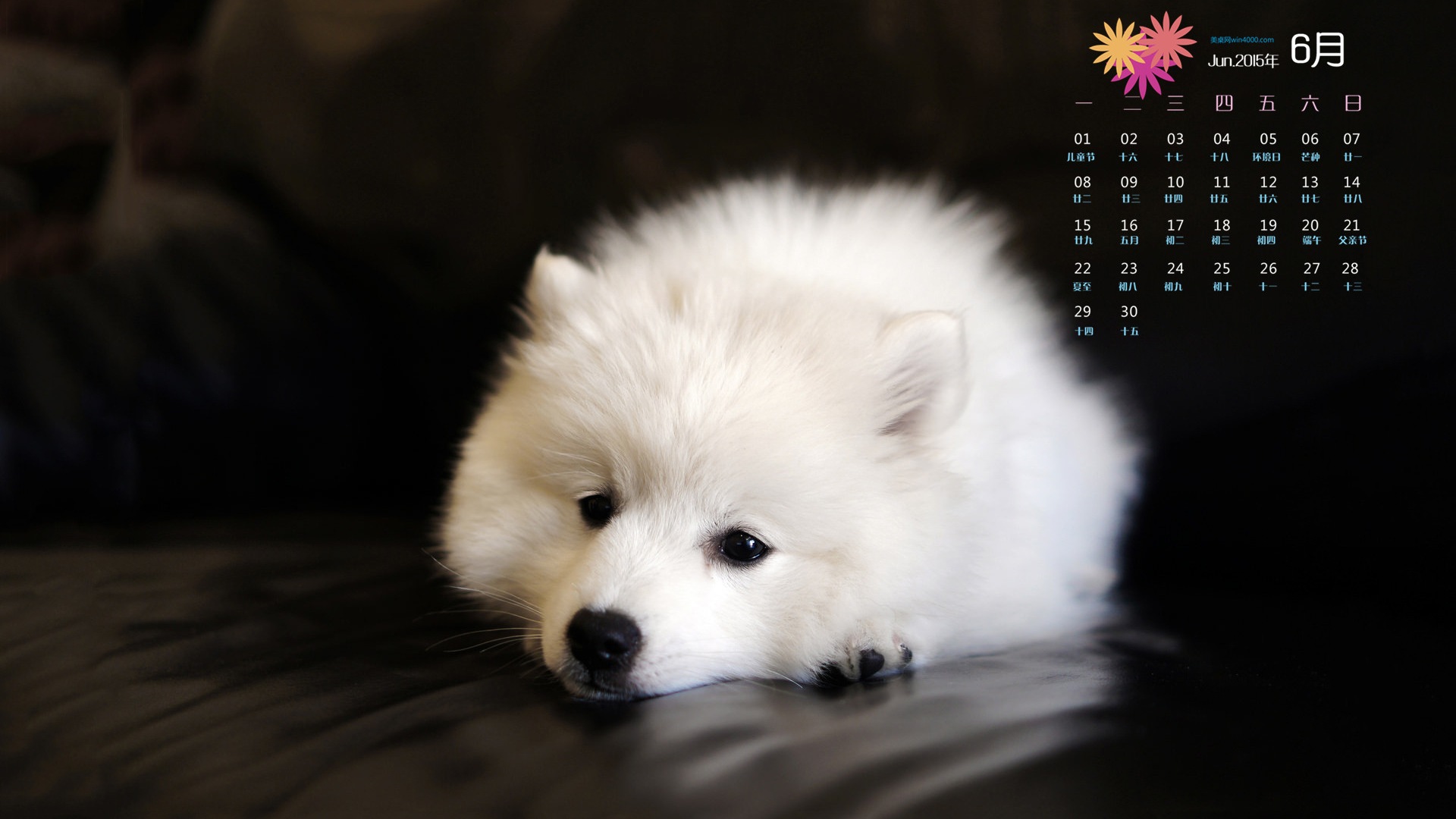 2015年6月 月曆壁紙(一) #9 - 1920x1080