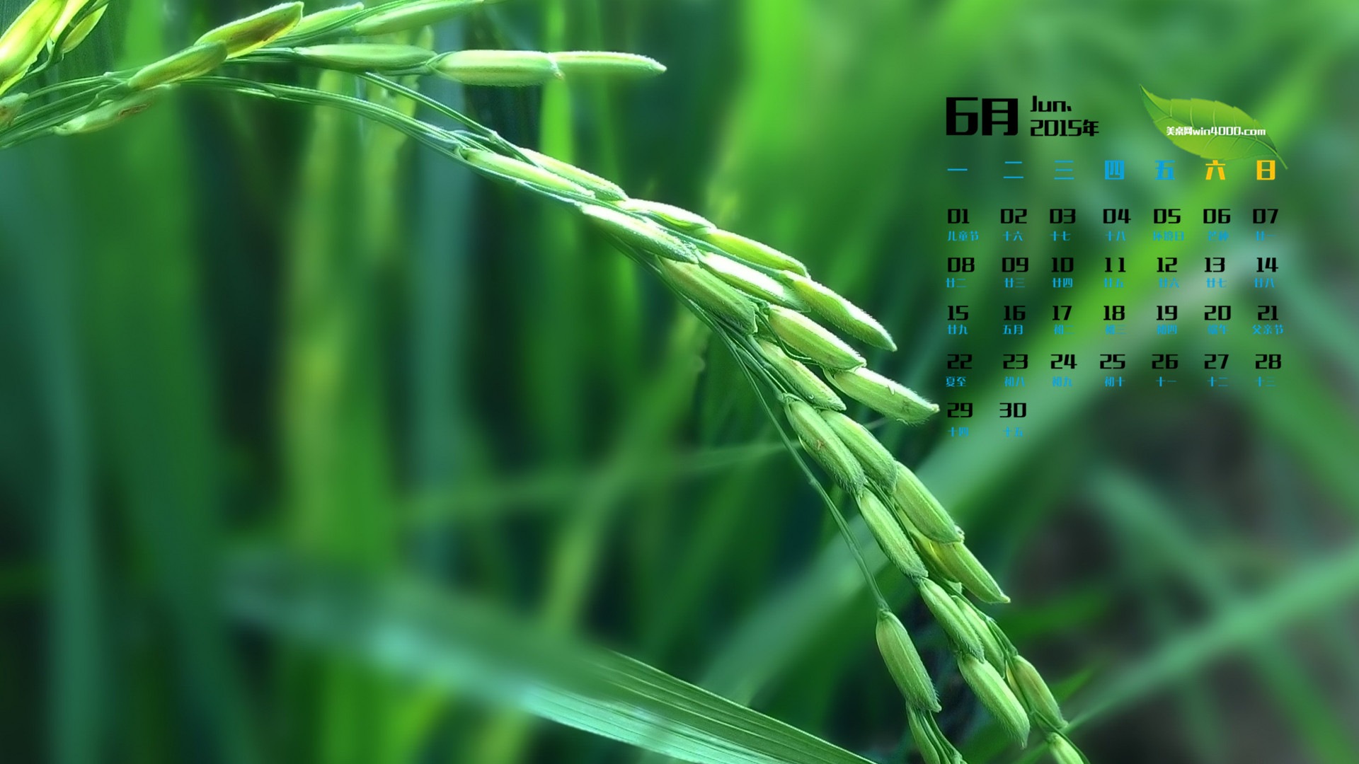 2015年6月 月历壁纸(一)14 - 1920x1080