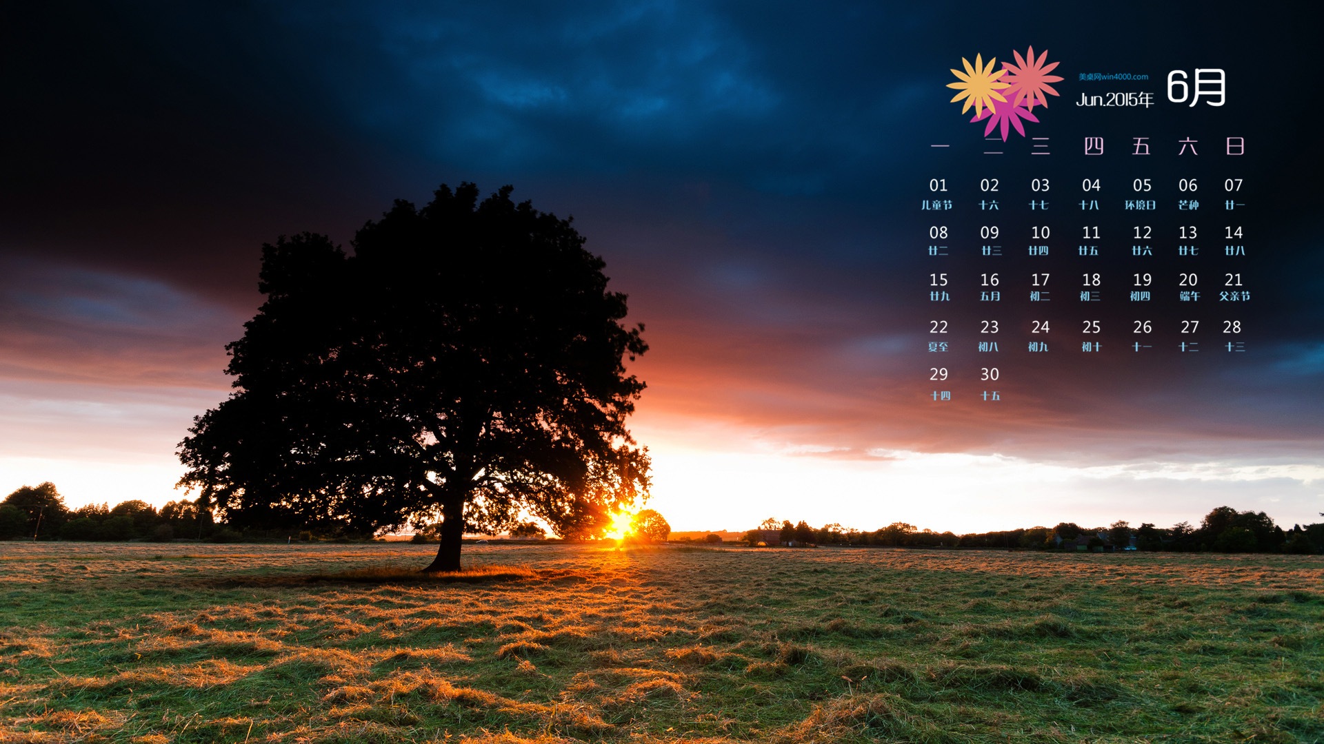 June 2015 calendar wallpaper (1) #18 - 1920x1080