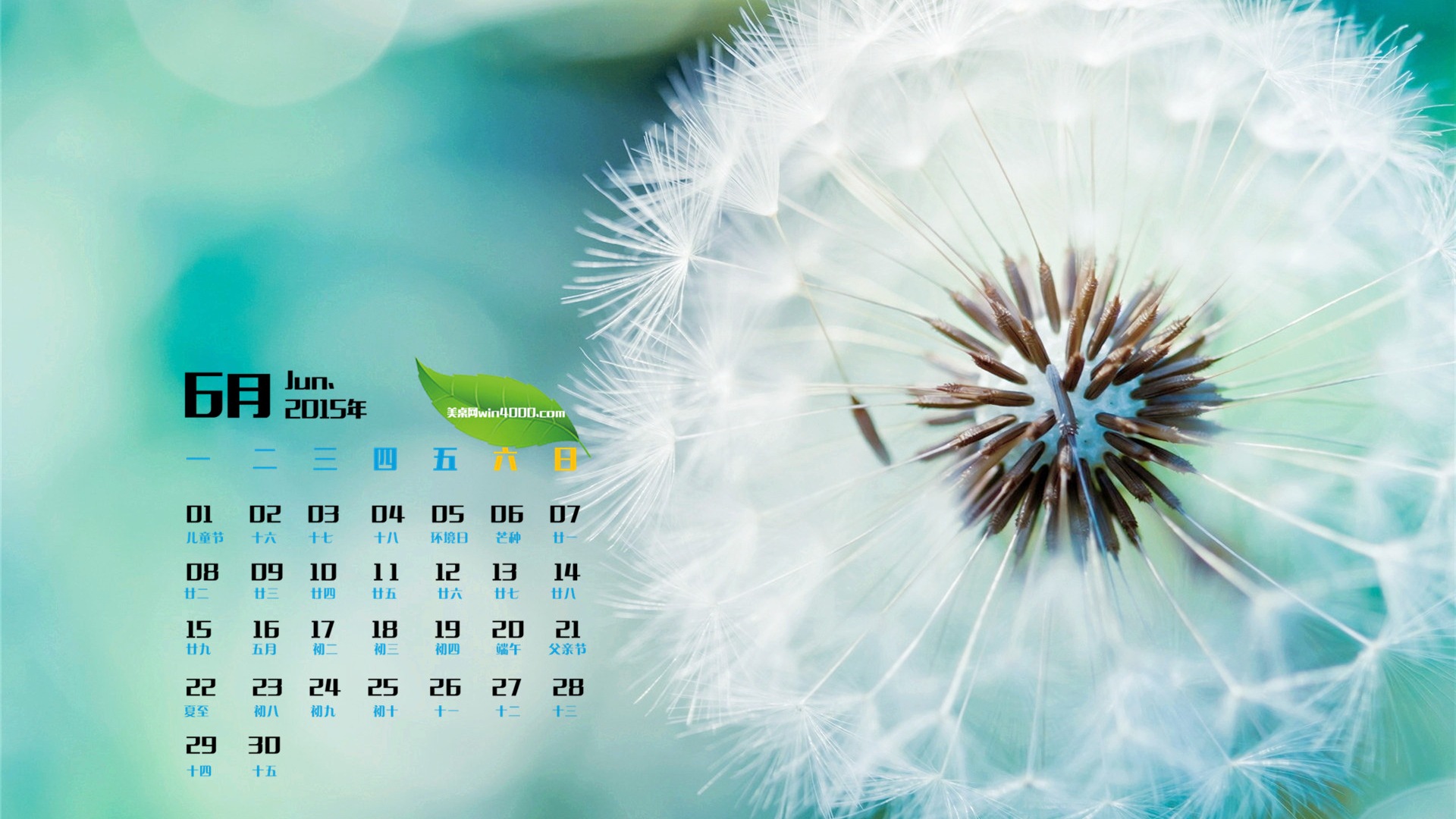 June 2015 calendar wallpaper (1) #20 - 1920x1080