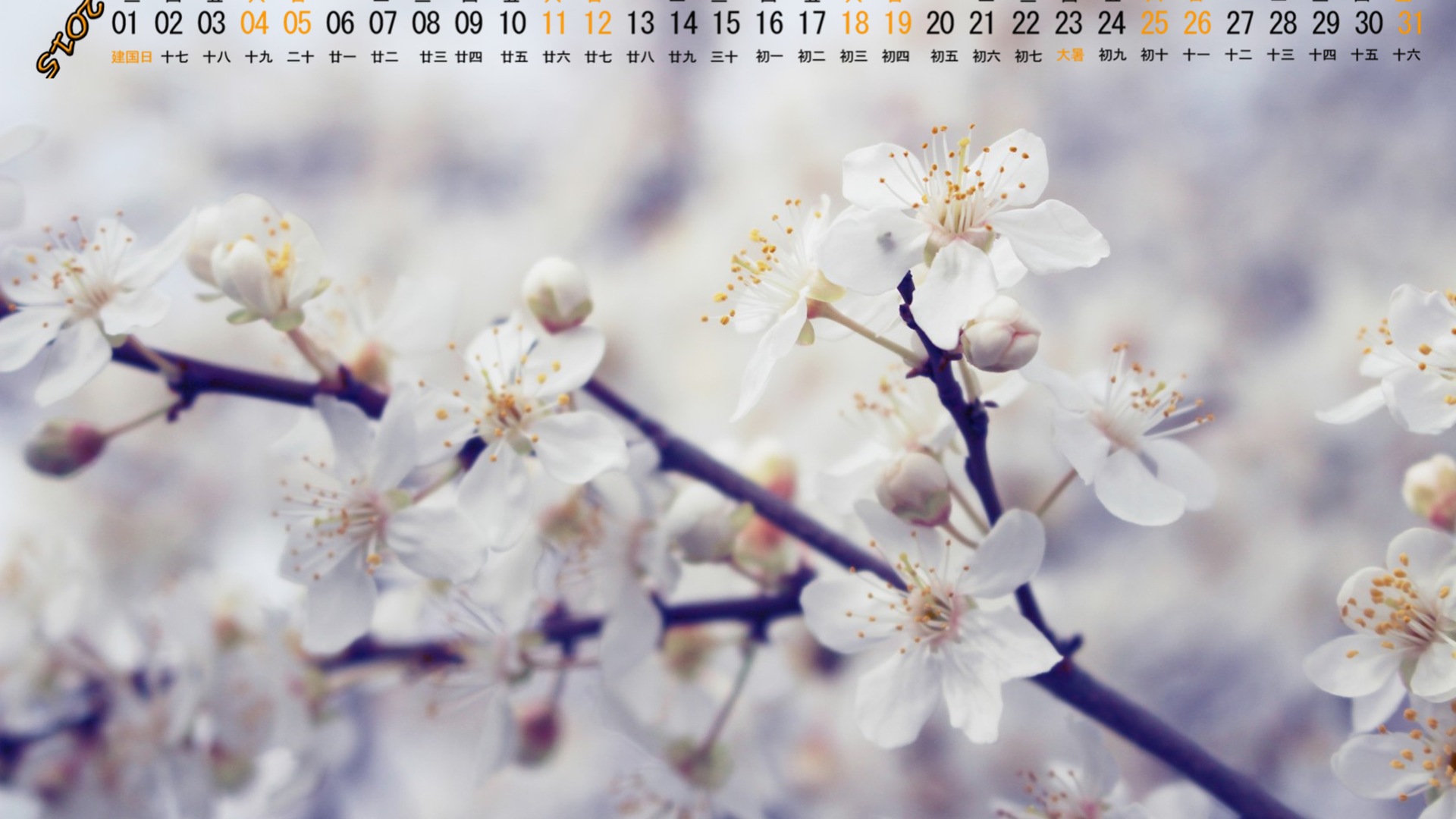 2015年7月 月曆壁紙(一) #10 - 1920x1080