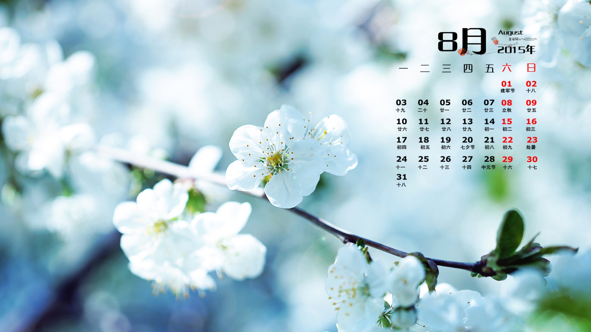 August 2015 Kalender Wallpaper (1) #2 - 1920x1080