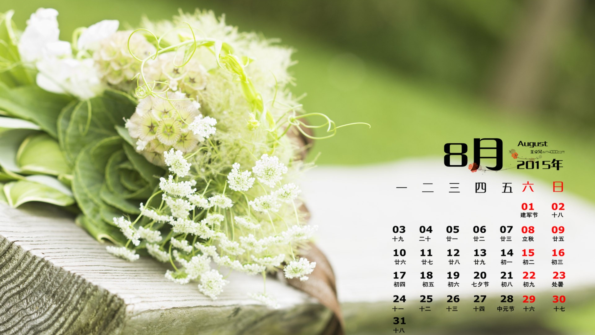 August 2015 calendar wallpaper (1) #19 - 1920x1080