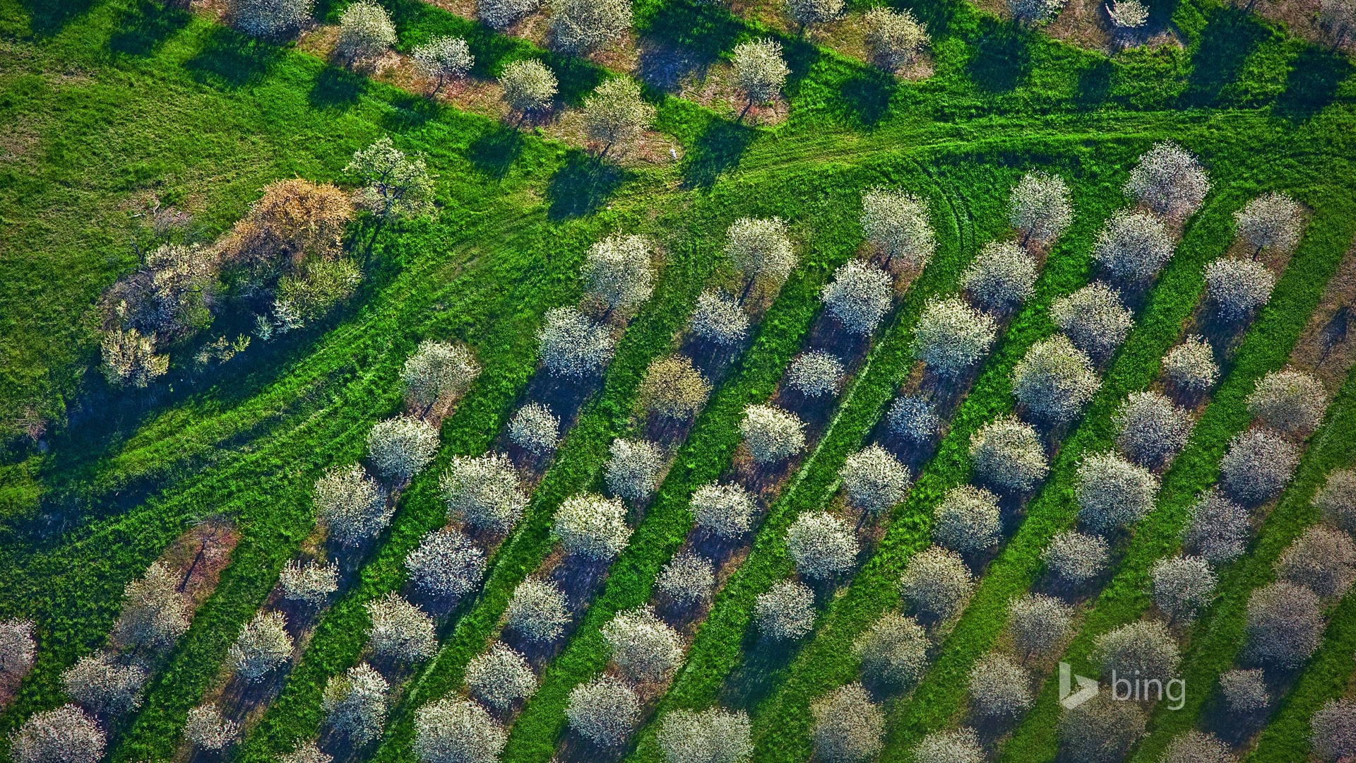 2015年5月 Bing必應高清壁紙 #4 - 1920x1080