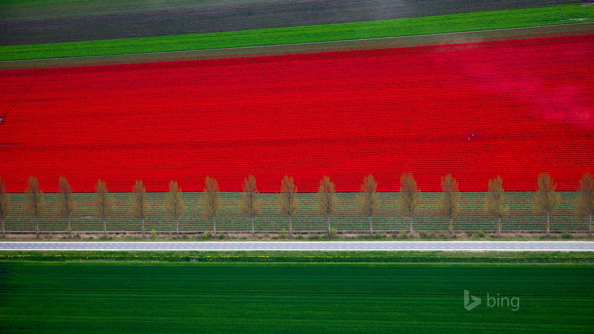 Mai 2015 fonds d'écran HD Bing #30 - 1920x1080