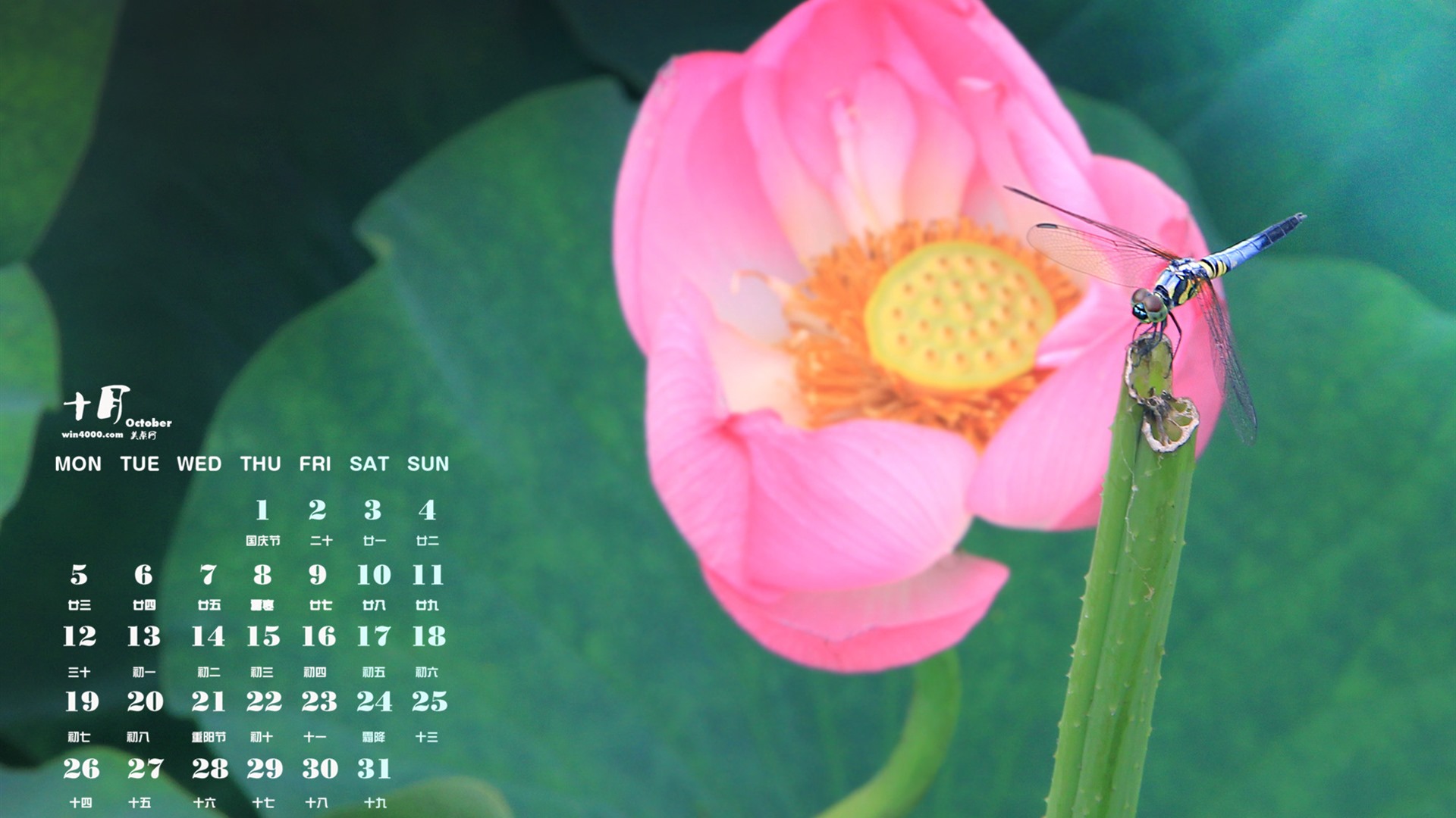 Oktober 2015 Kalender Wallpaper (1) #8 - 1920x1080