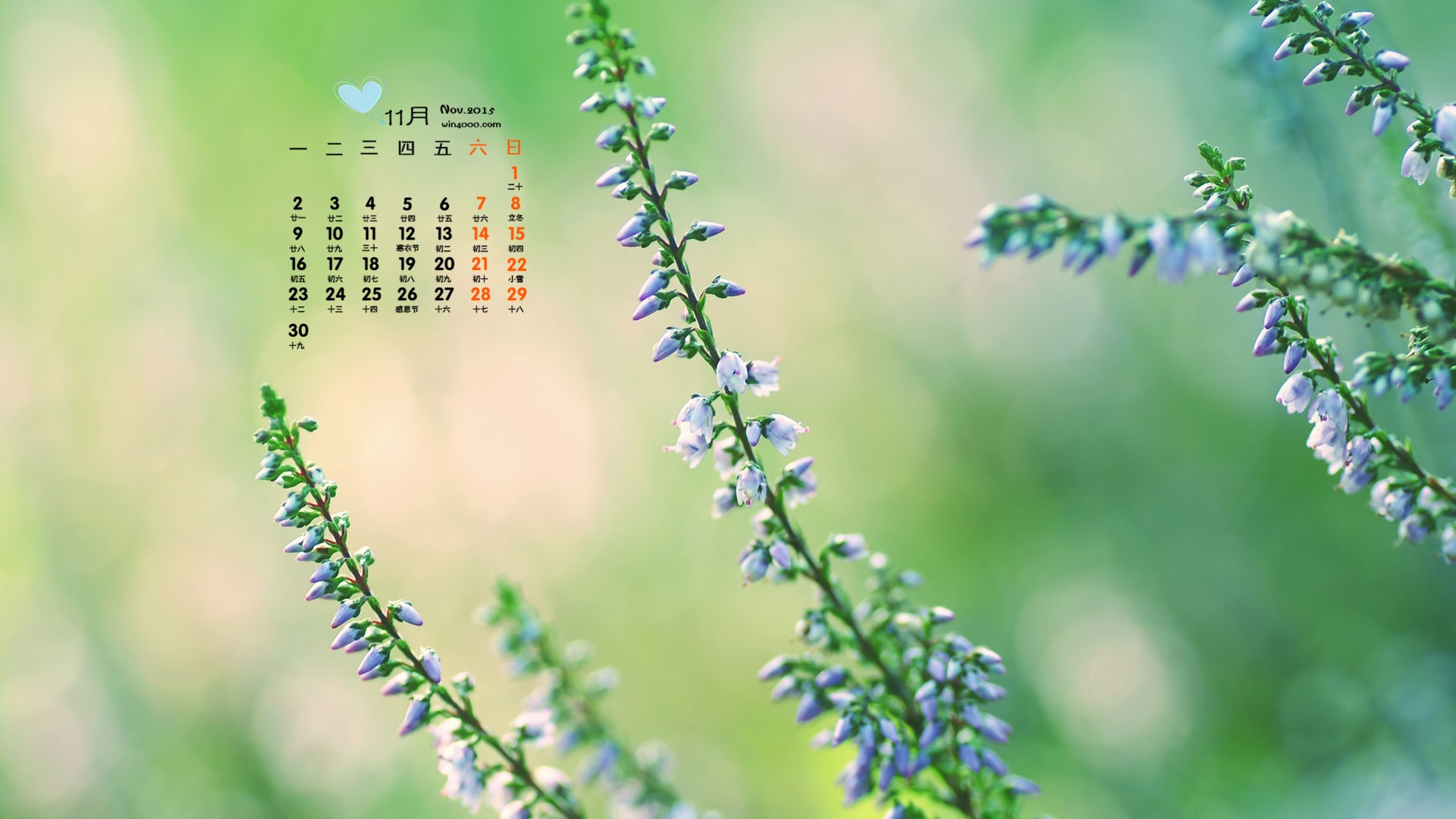 2015年11月 月曆壁紙(一) #14 - 1920x1080