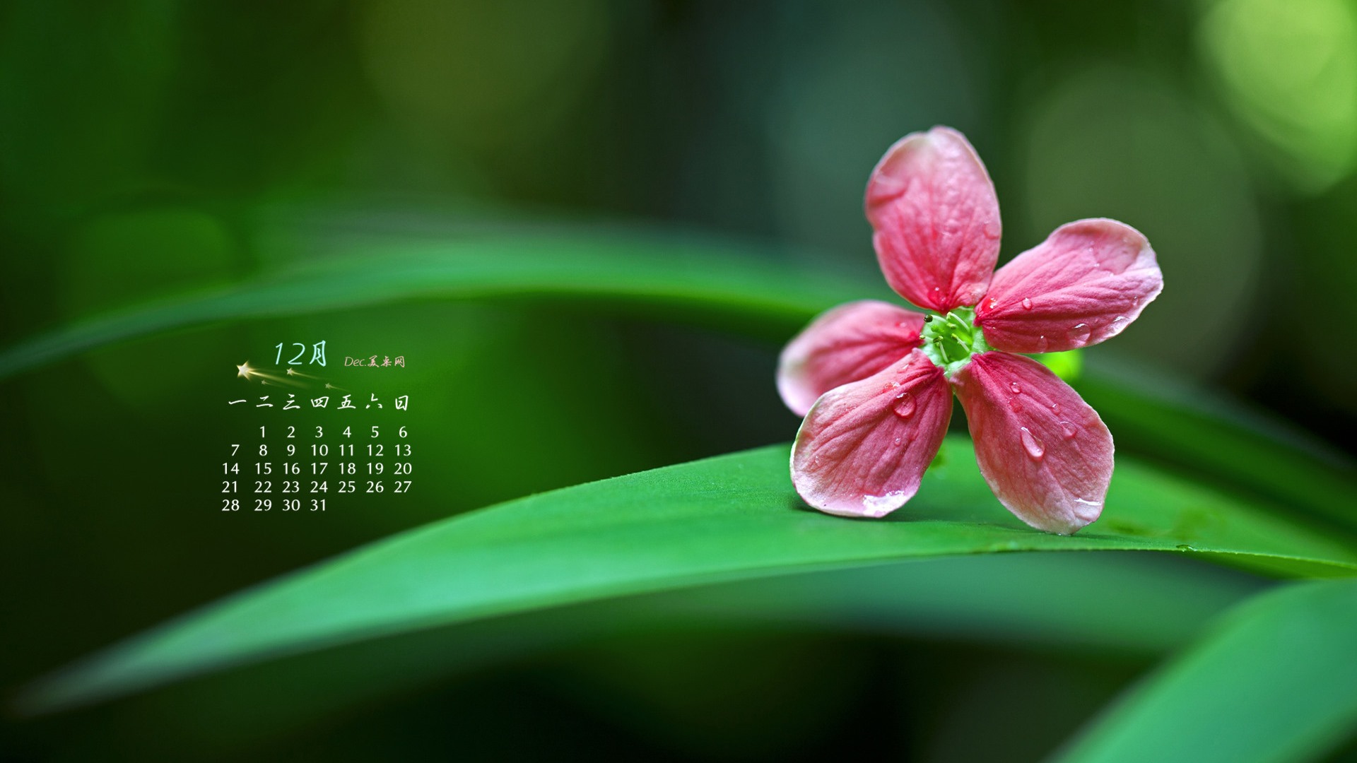 2015年12月 月曆壁紙(一) #3 - 1920x1080