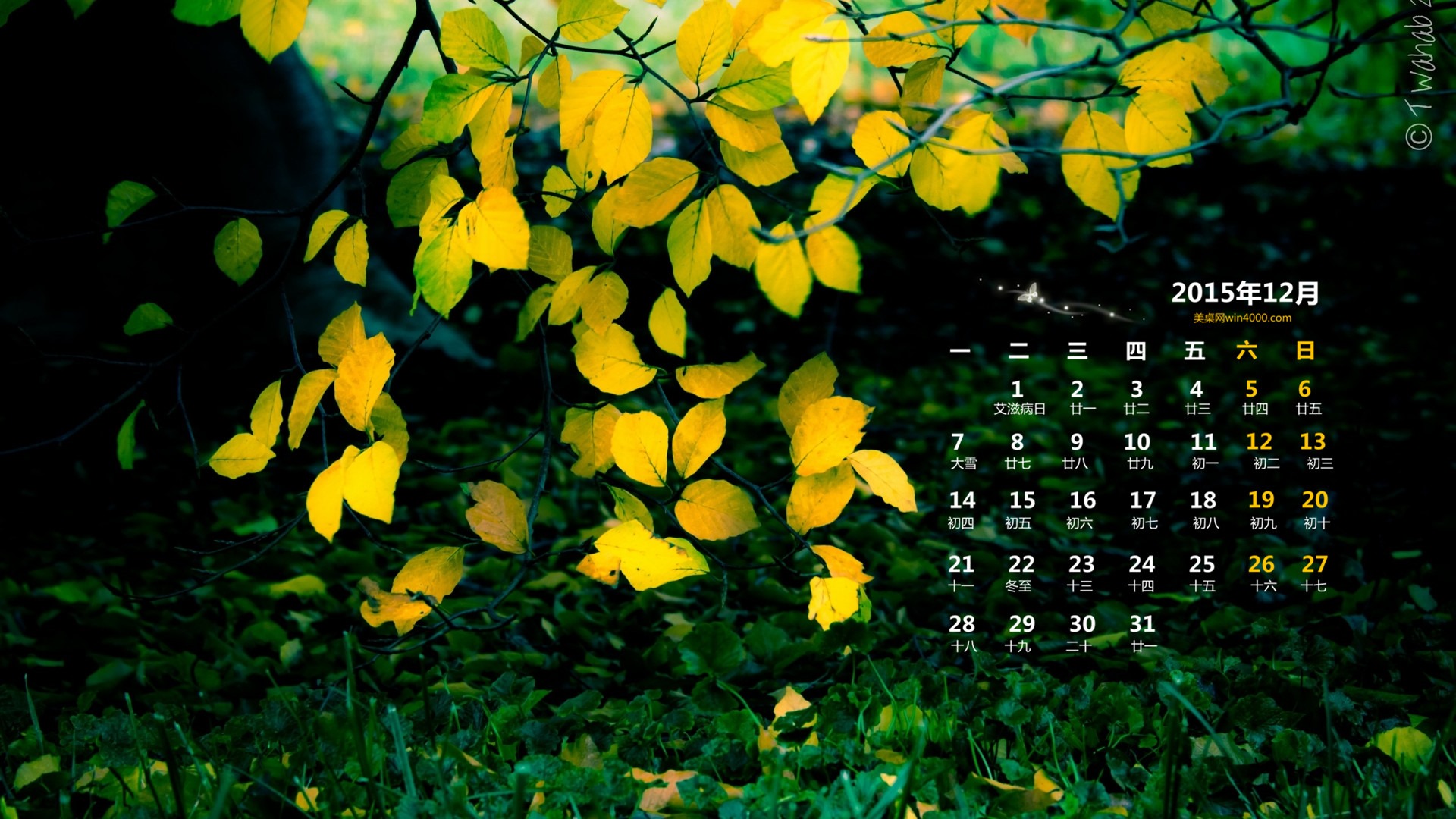 2015年12月 月曆壁紙(一) #7 - 1920x1080