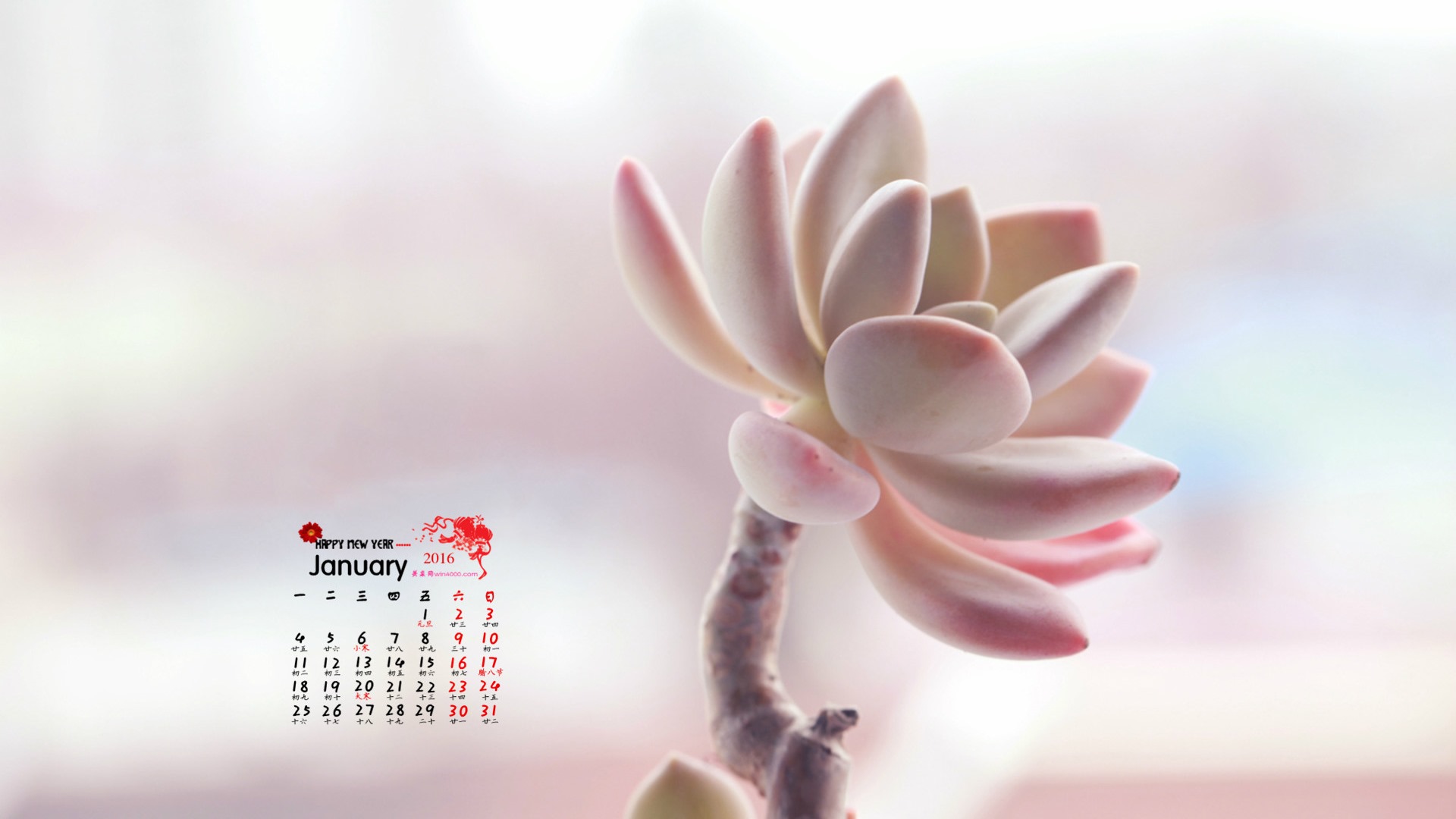 2016年1月 月曆壁紙(一) #4 - 1920x1080