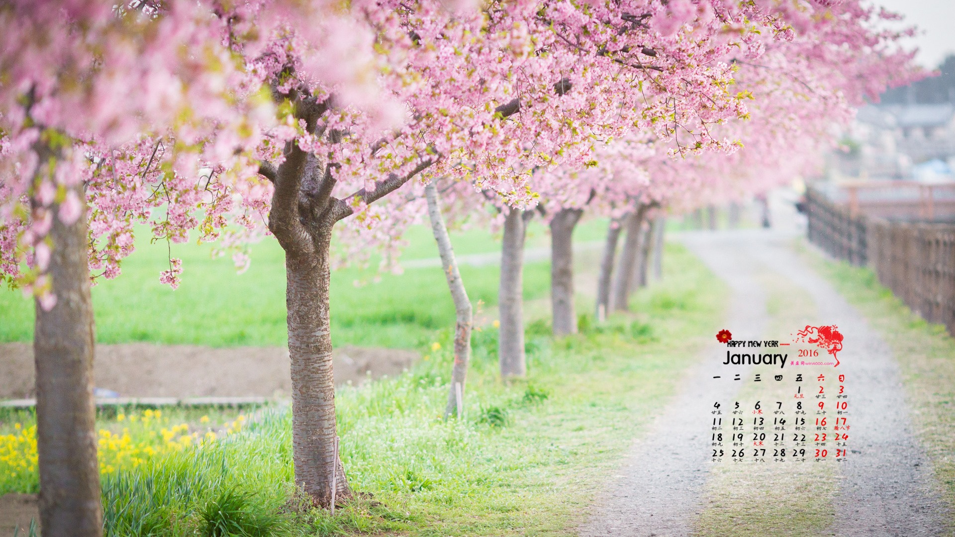 2016年1月 月曆壁紙(一) #7 - 1920x1080