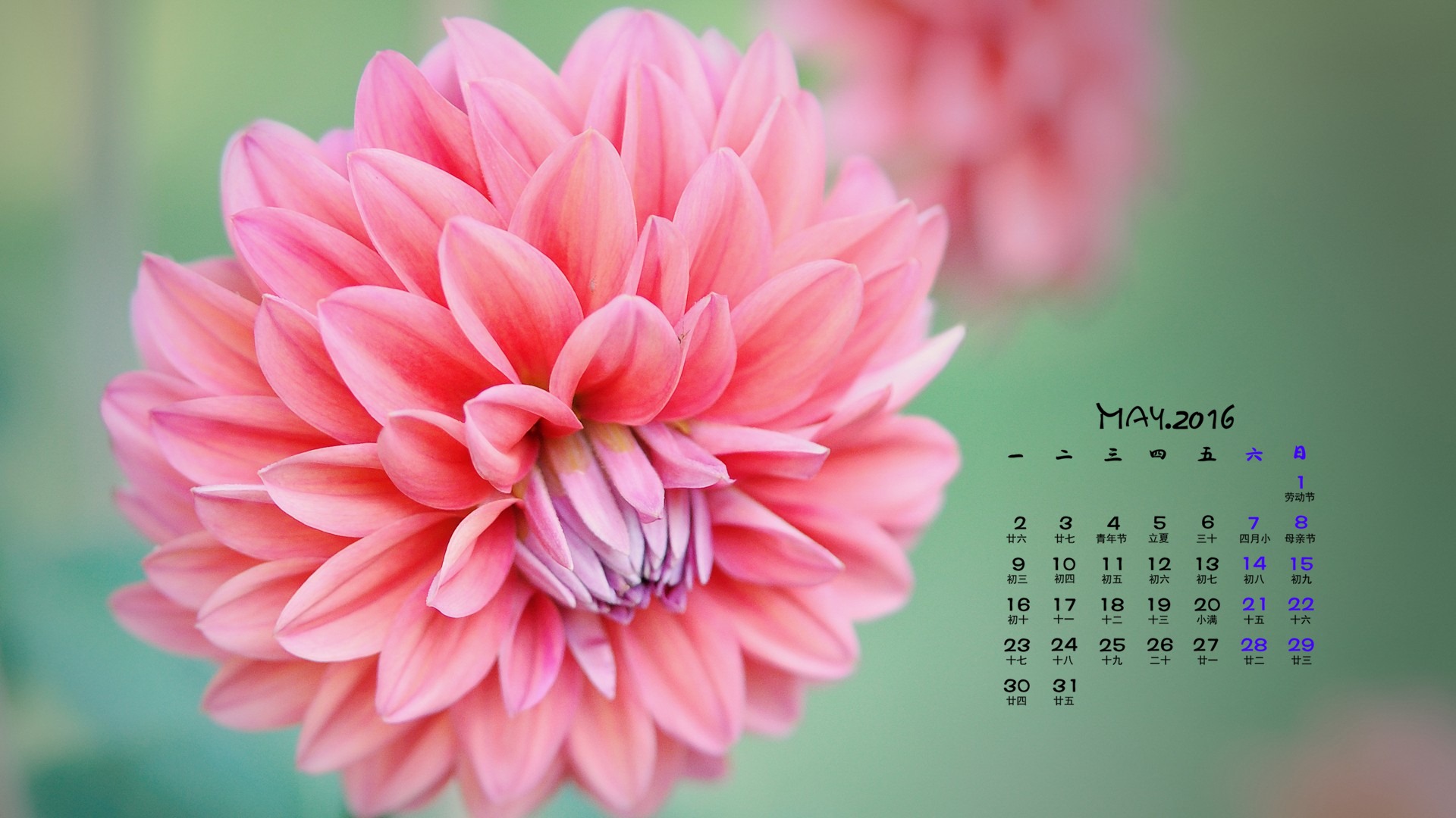 Mai 2016 Kalender Wallpaper (1) #11 - 1920x1080