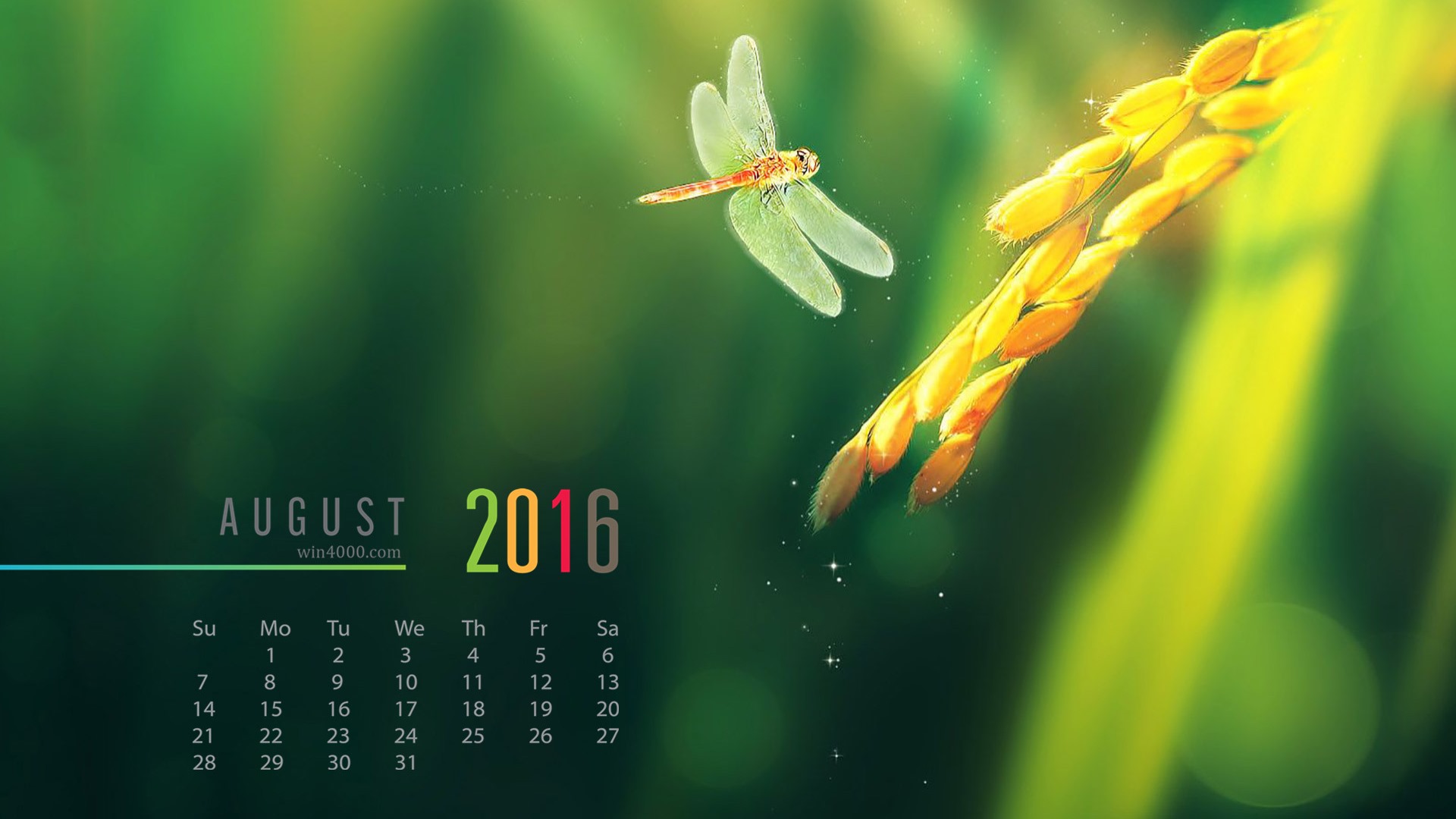 August 2016 Kalender Wallpaper (2) #2 - 1920x1080