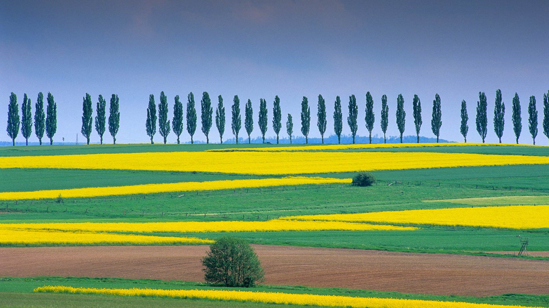 De junio de 2016 fondos de pantalla HD tema de Bing (1) #5 - 1920x1080