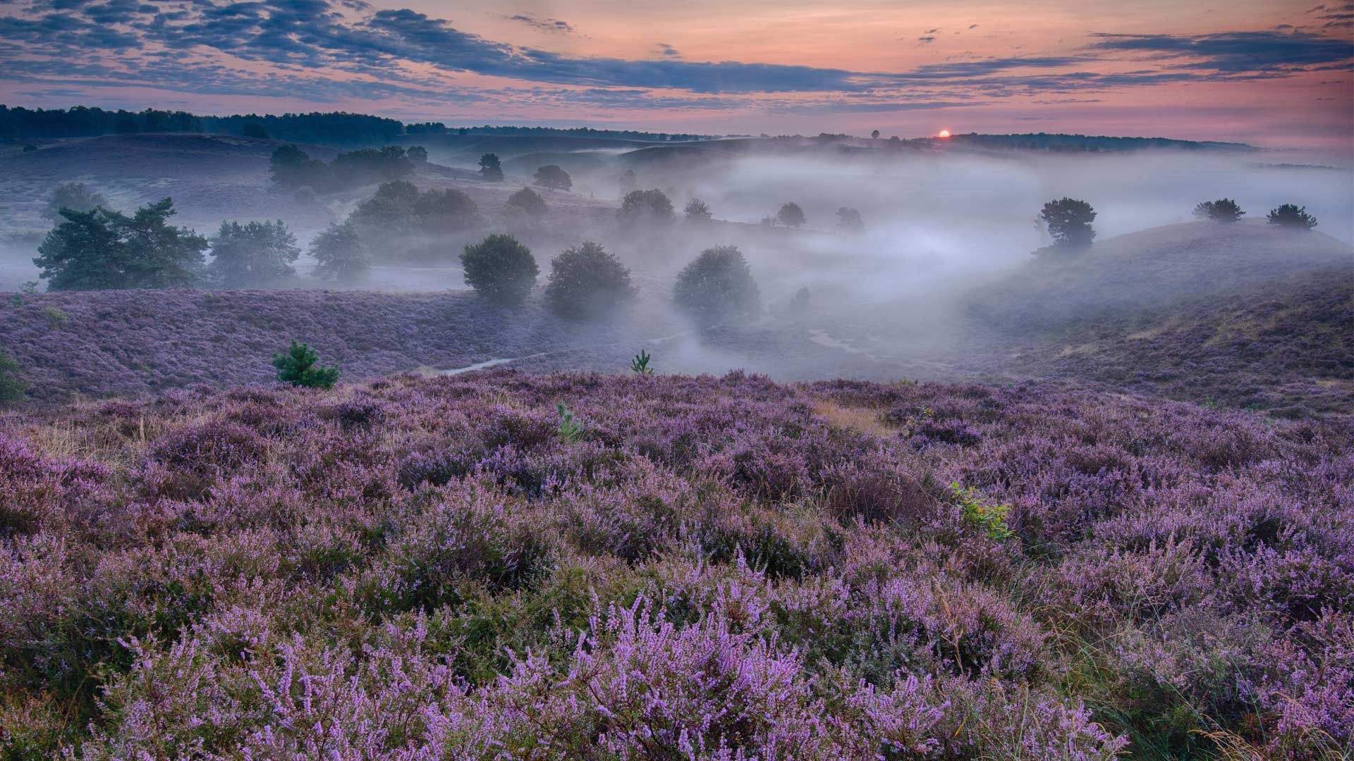 De junio de 2016 fondos de pantalla HD tema de Bing (1) #13 - 1920x1080