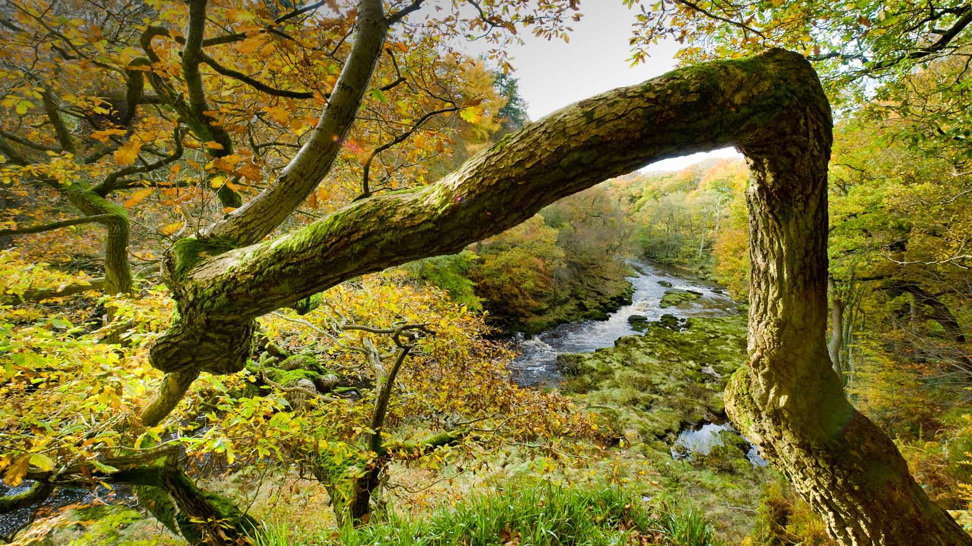 Července 2016 Bing téma HD tapety na plochu (2) #30 - 1920x1080