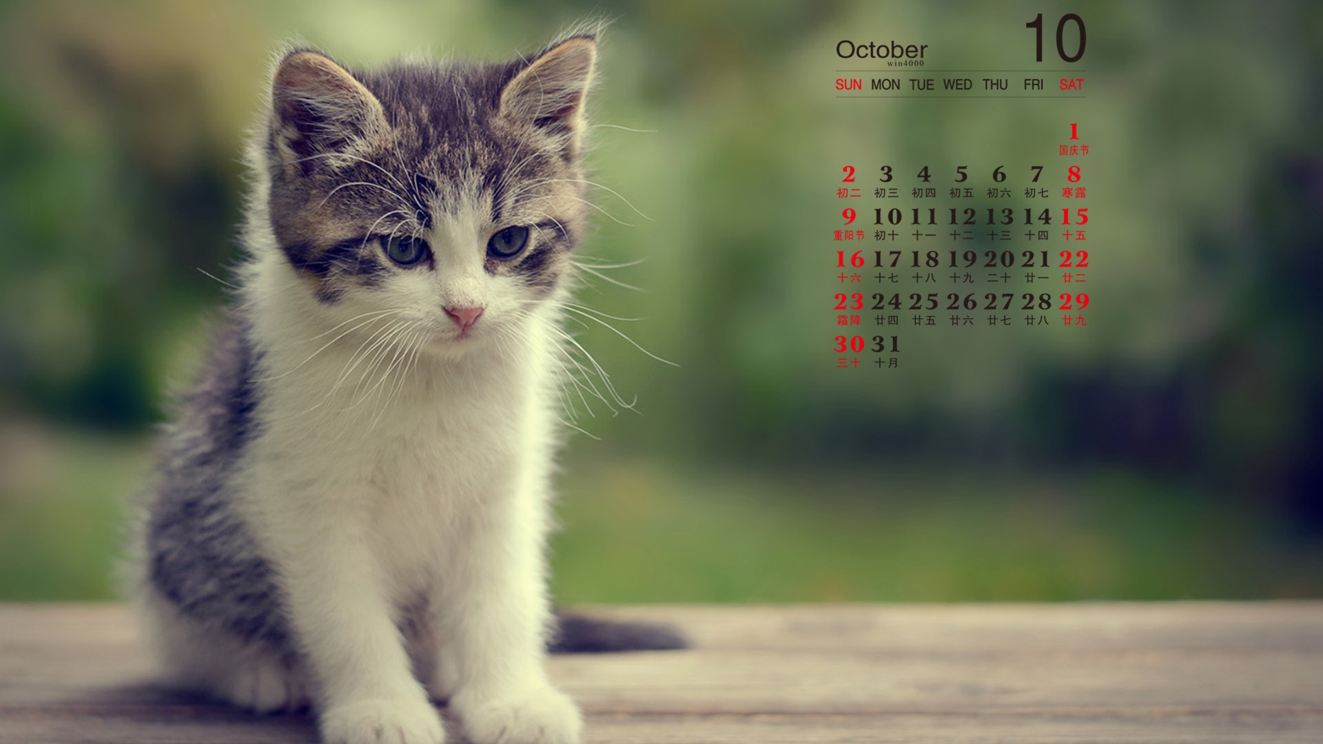 Oktober 2016 Kalender Wallpaper (1) #8 - 1920x1080