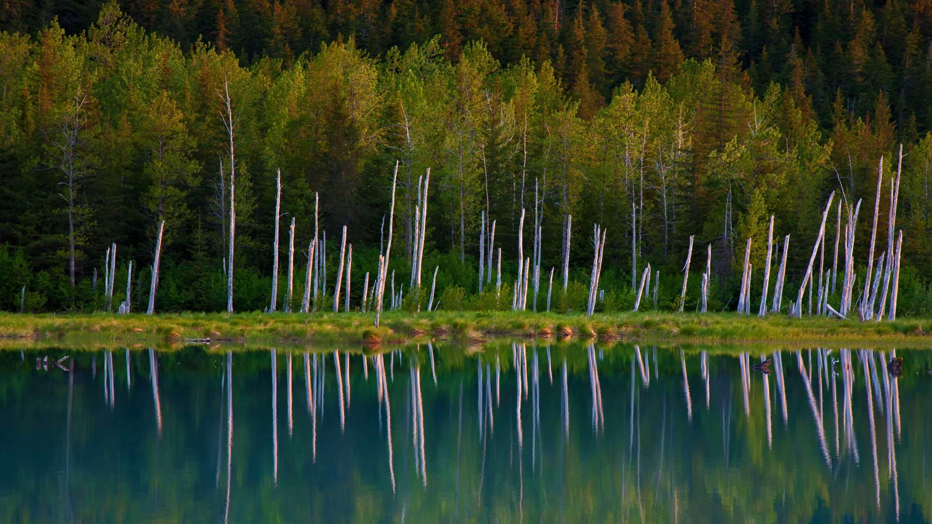 Août 2016 fonds d'écran Bing thème HD (2) #21 - 1920x1080