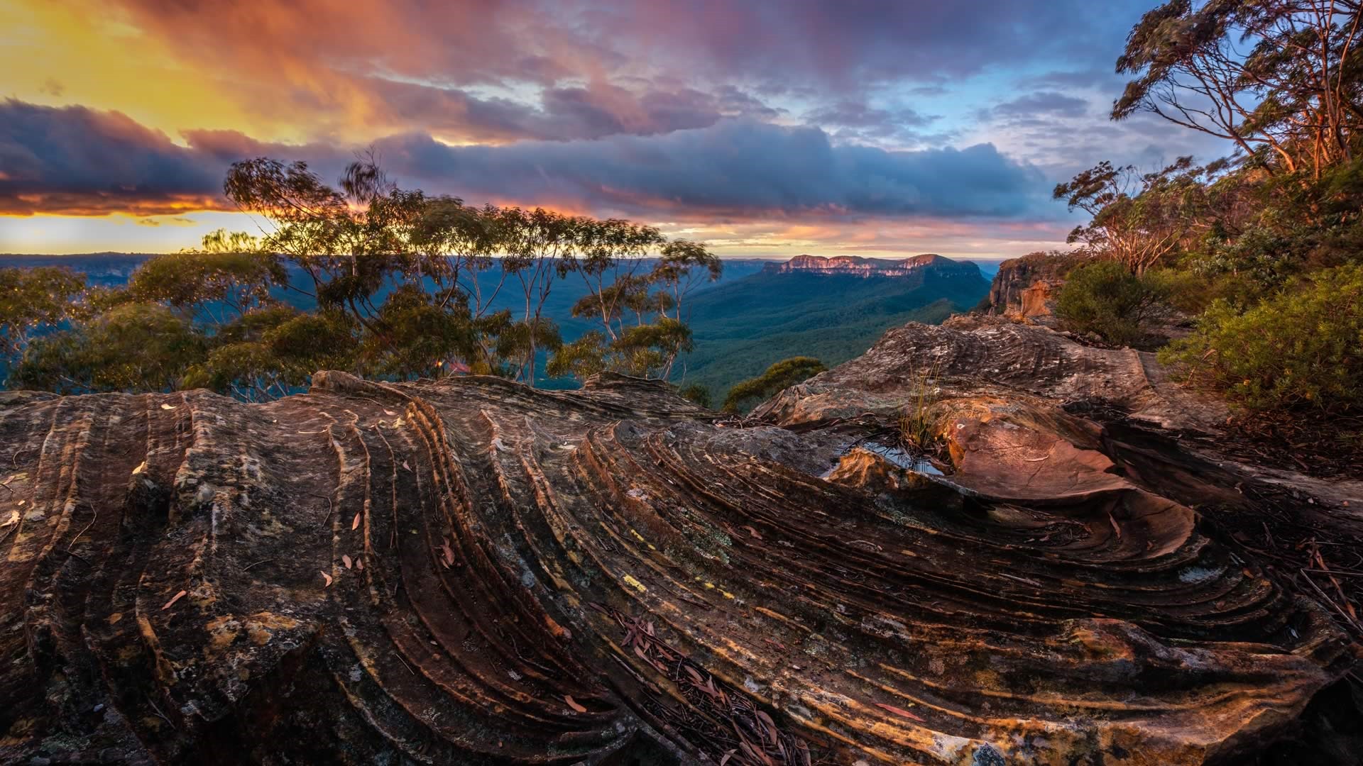 Septiembre de 2016 Bing tema HD fondos de pantalla (1) #40 - 1920x1080